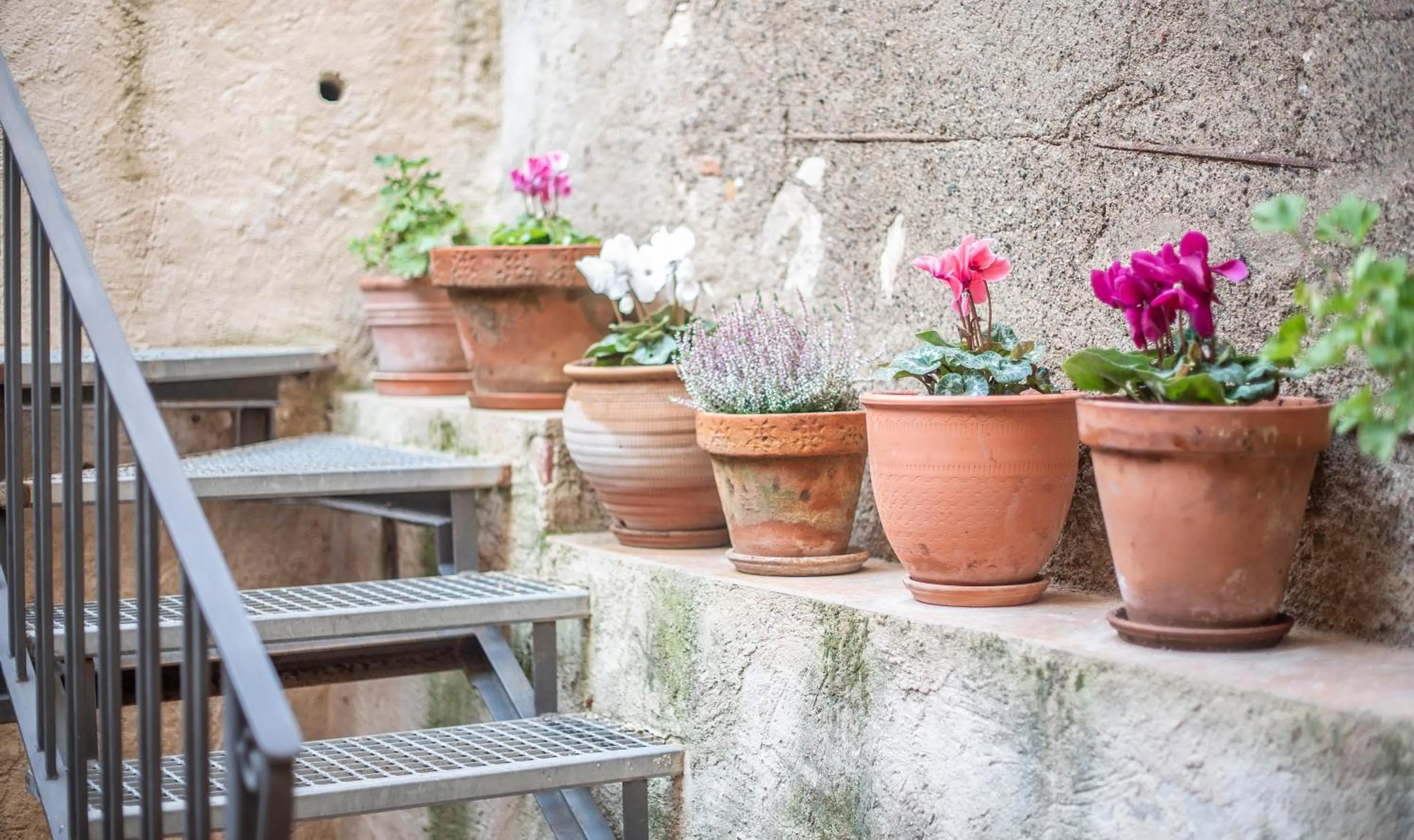 Patio in Cal Giral II