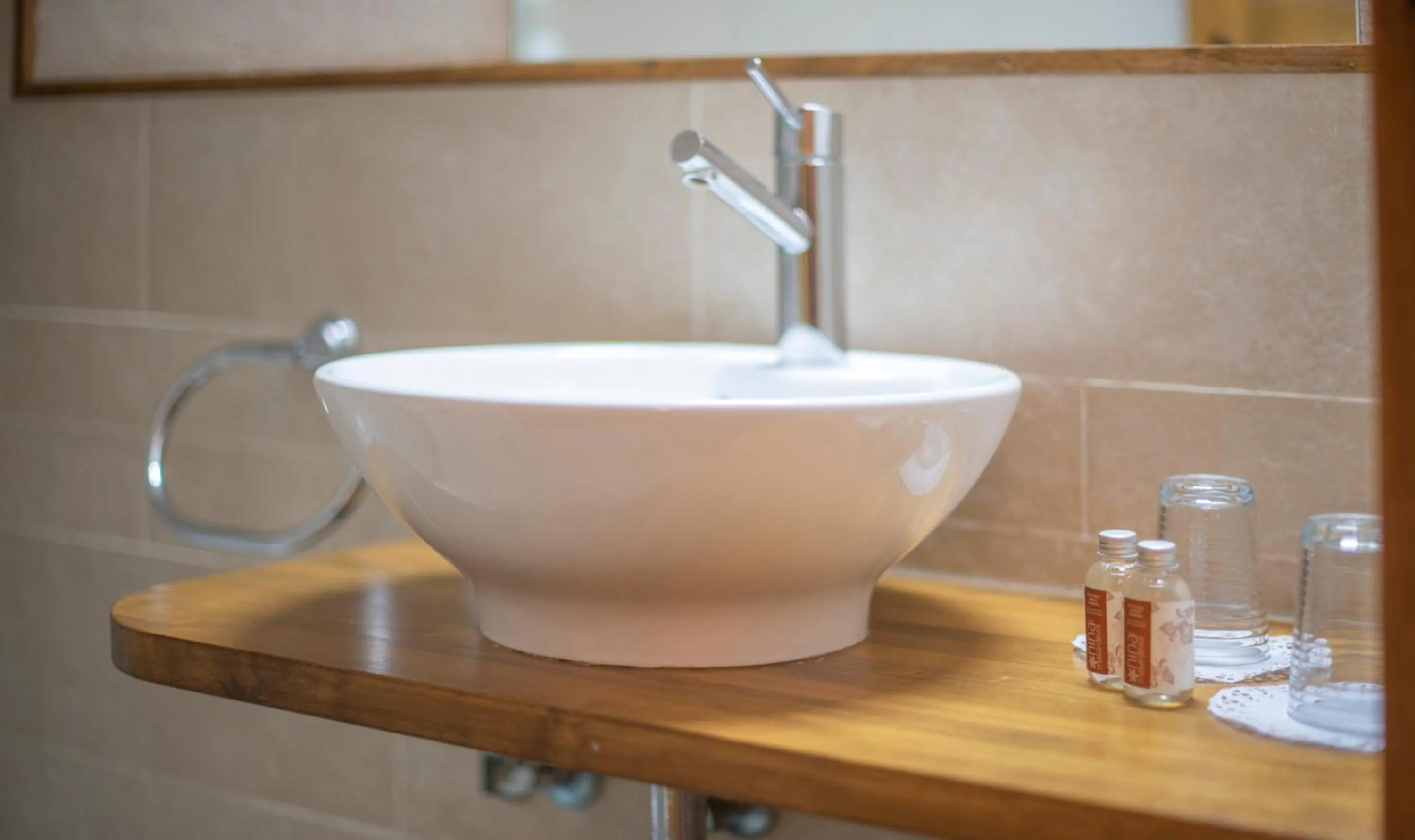 Bathroom in Cal Giral II