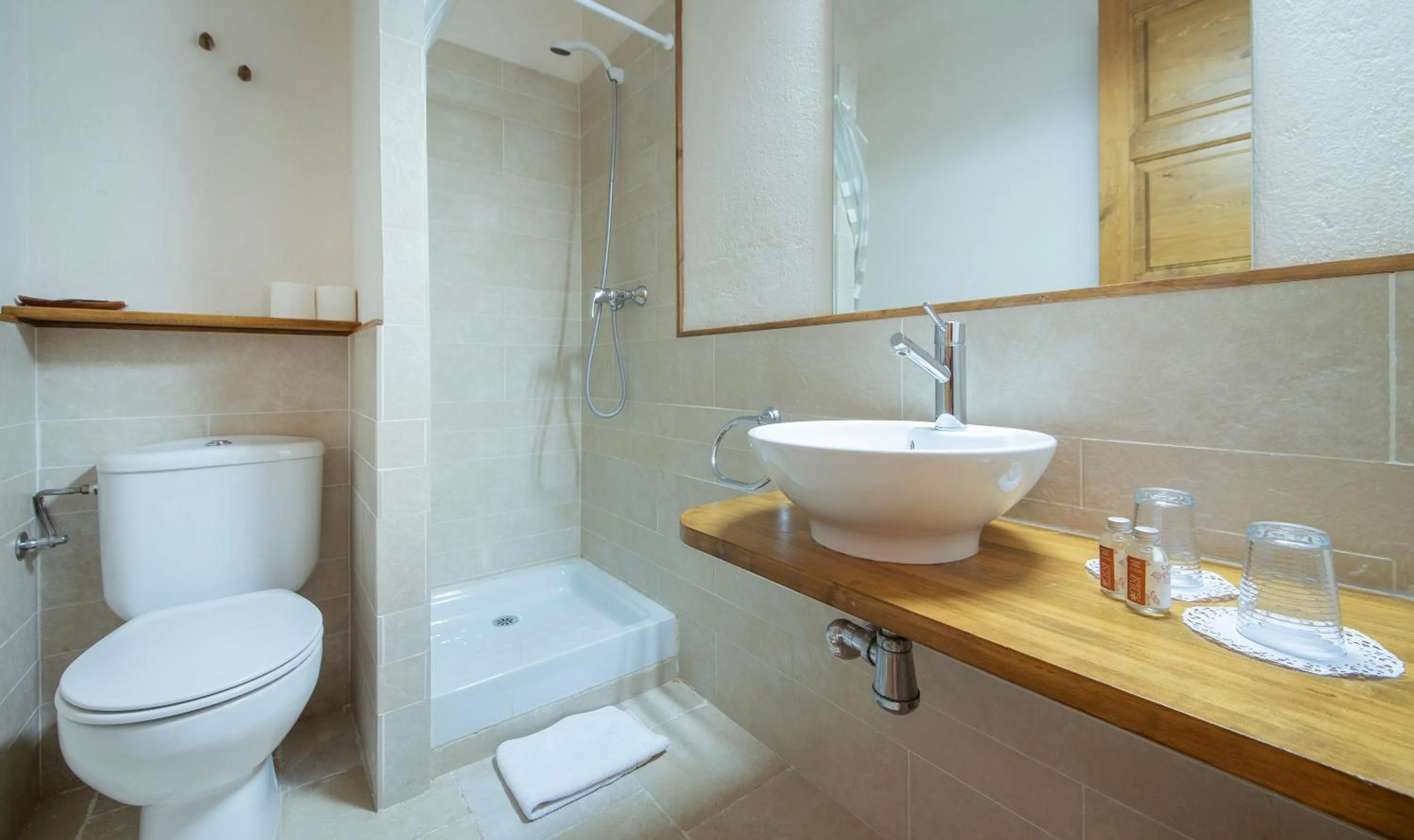 Bathroom in Cal Giral II