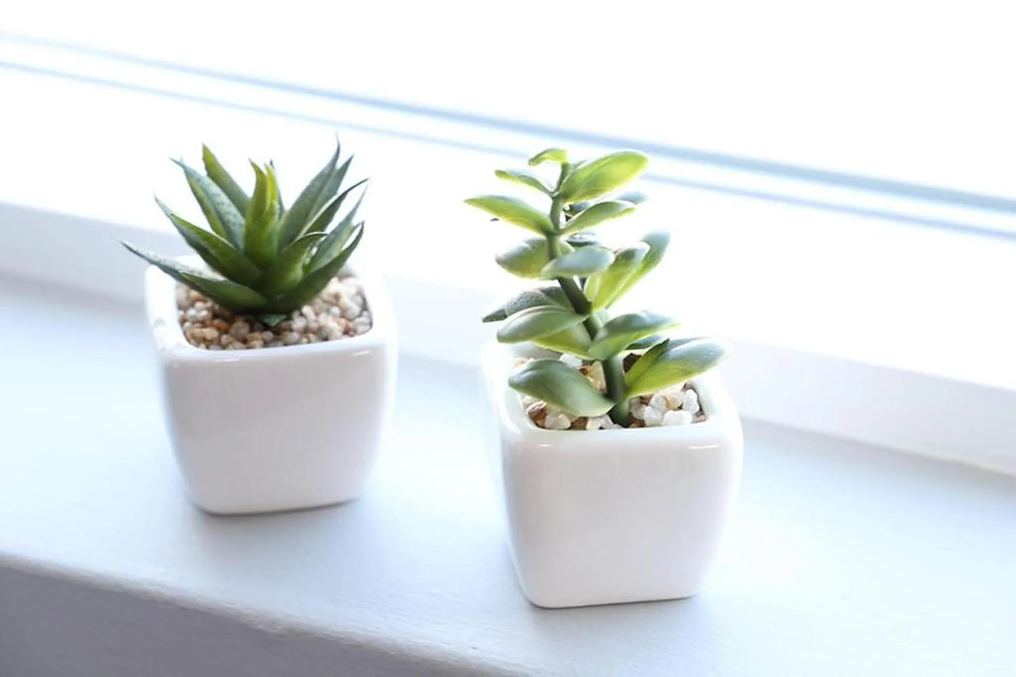 Decorative detail in North Apartments Suites