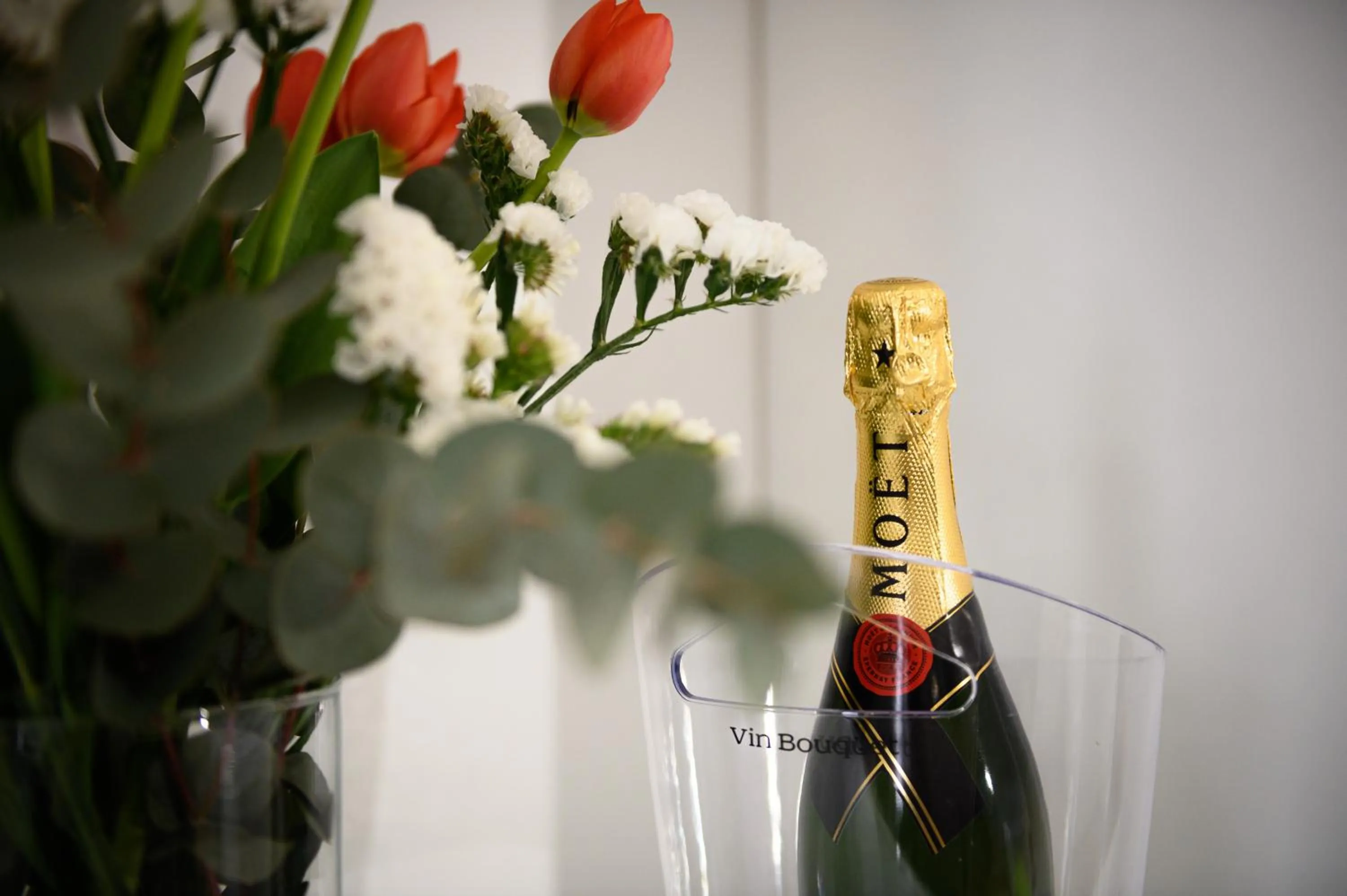 Food and drinks in Alma Suites