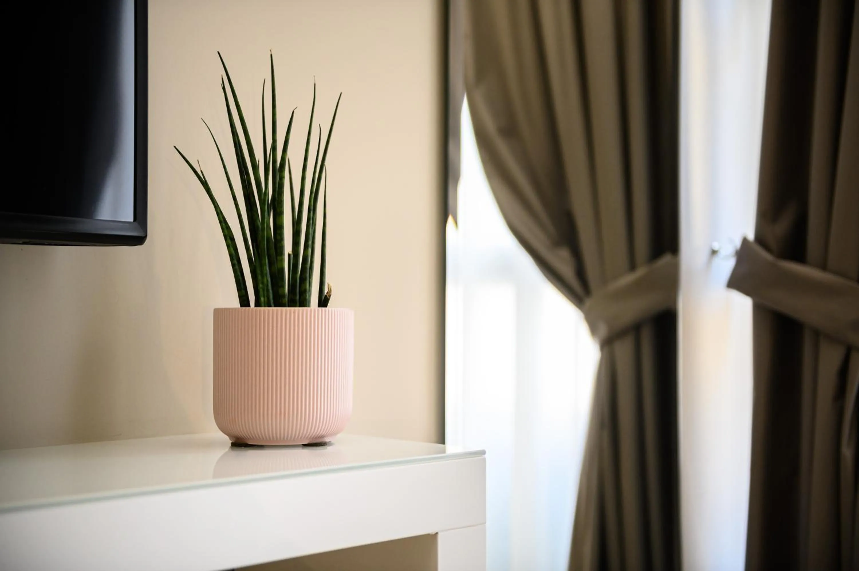 Decorative detail in Alma Suites