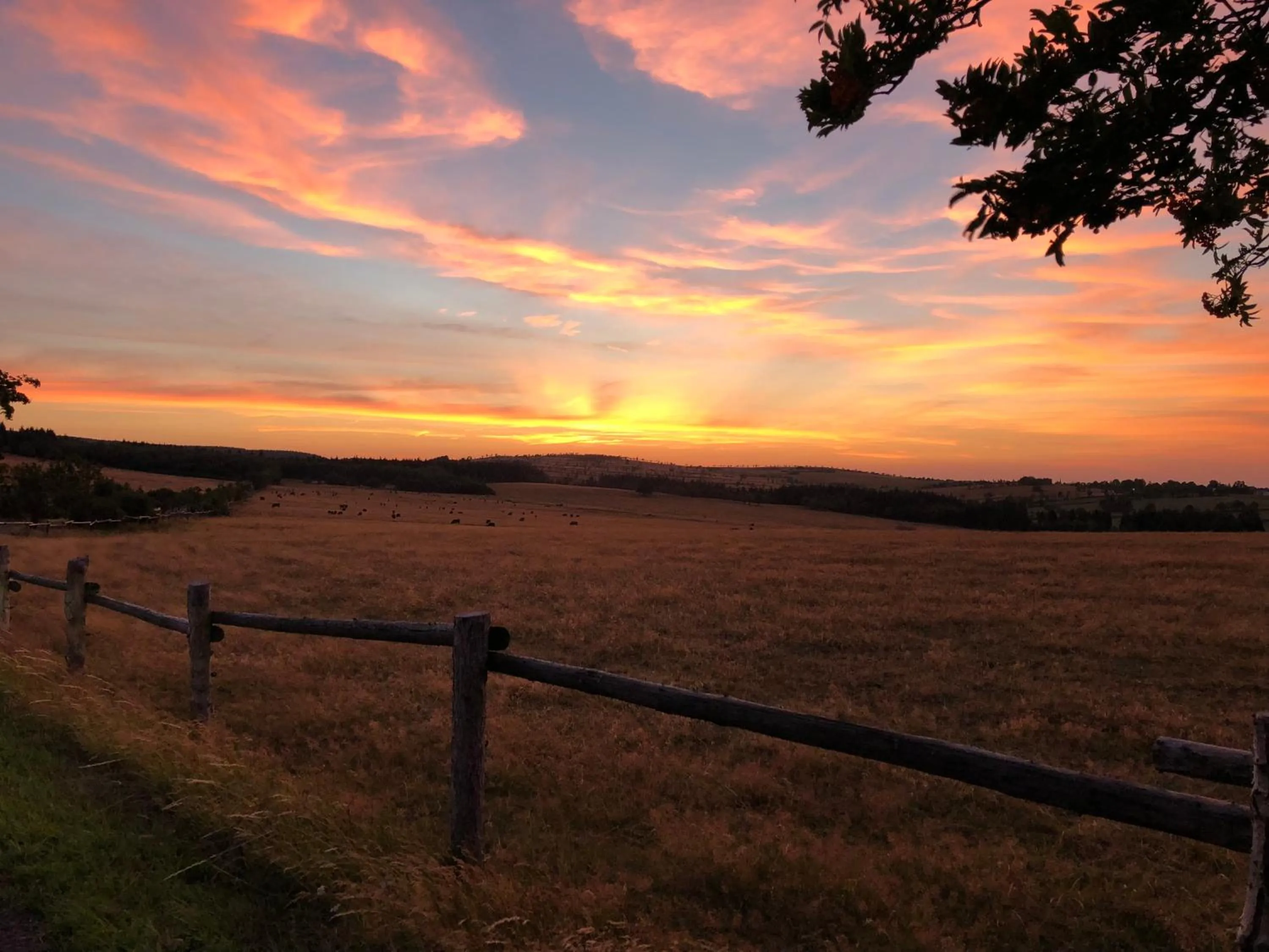 Berghotel Friedrichshöhe - Sauna, Pool & Natur