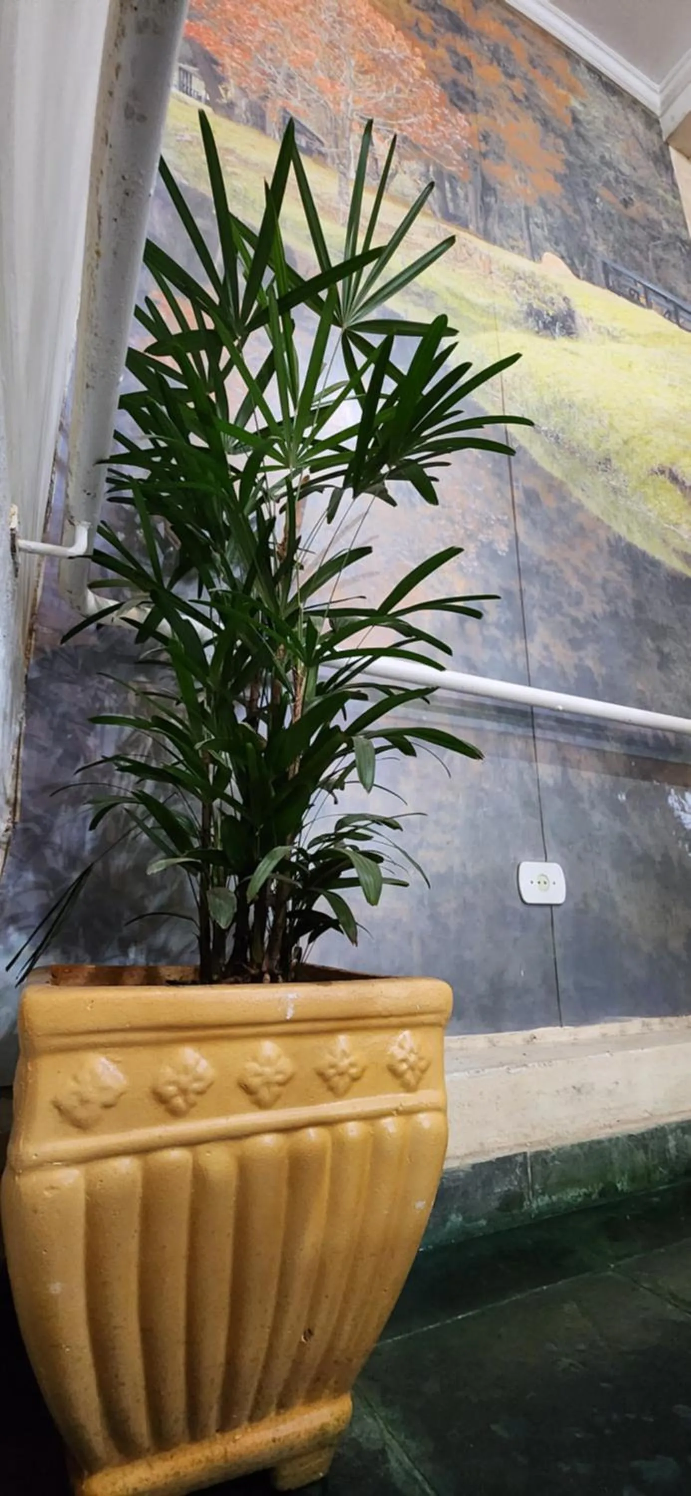 Decorative detail in Pousada Araucária