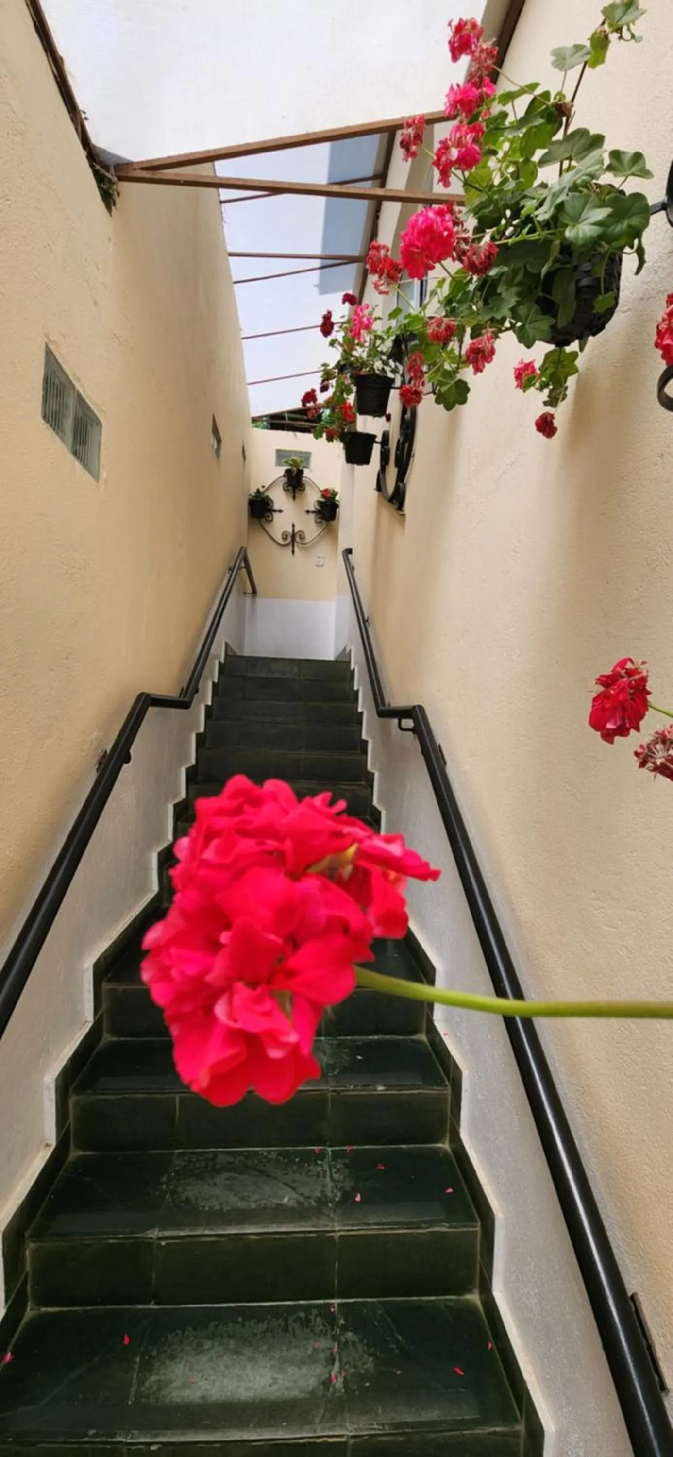 Facade/entrance in Pousada Araucária