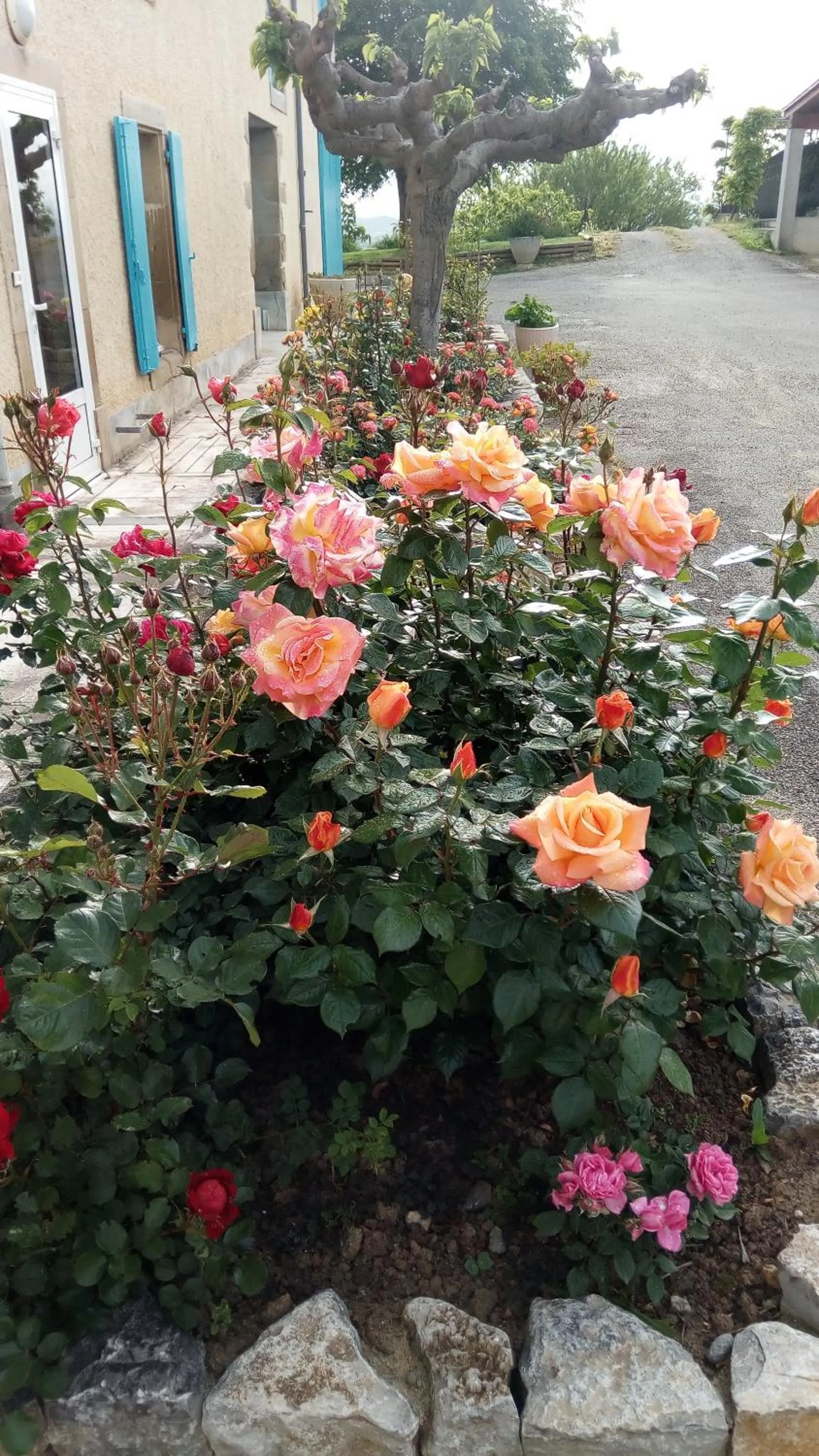 Inner courtyard view in La Vigneronne
