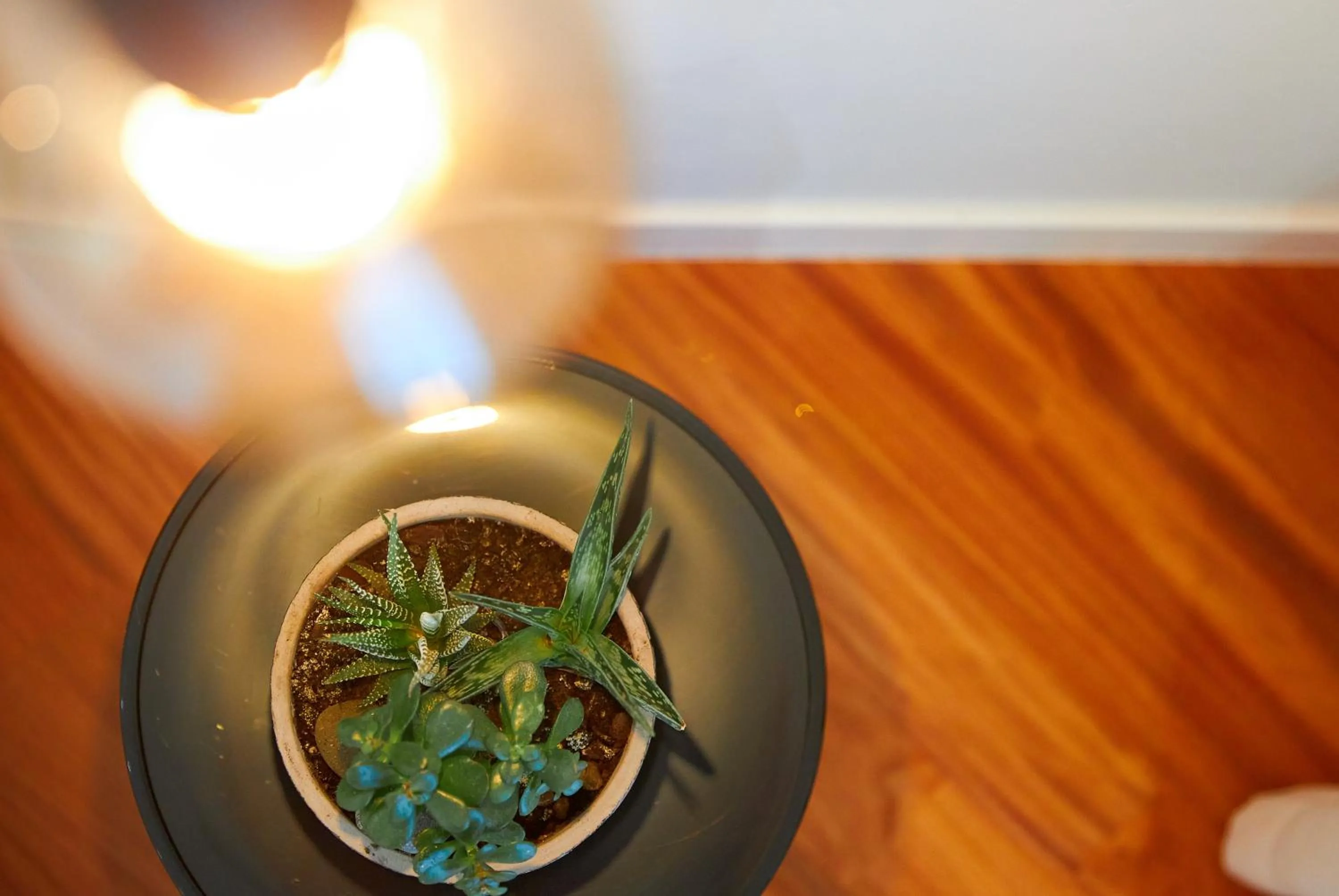 Villa Rosa Residence