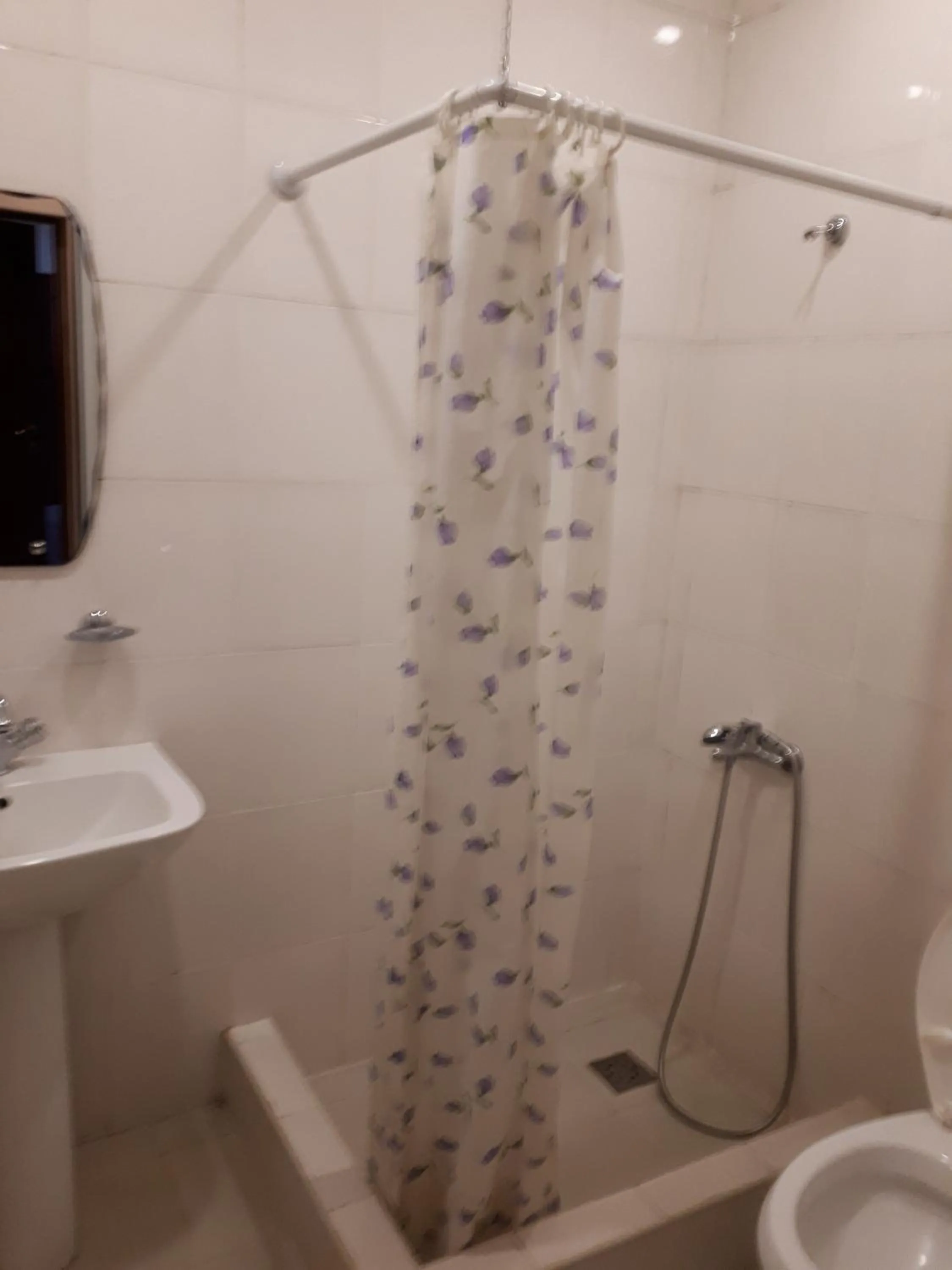 Bathroom in Hotel VIVAS