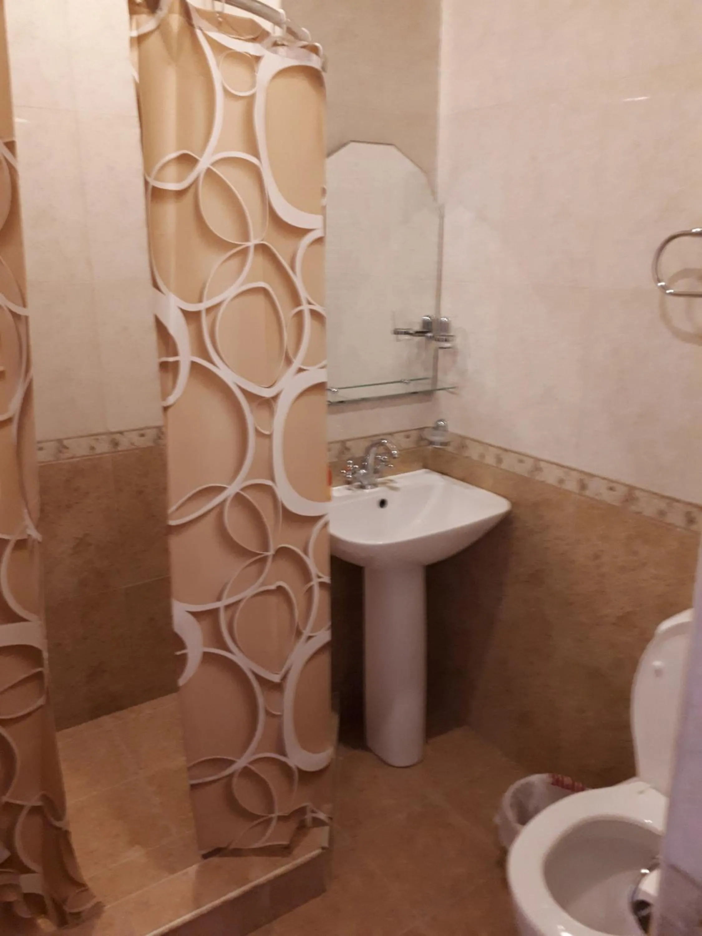 Bathroom in Hotel VIVAS