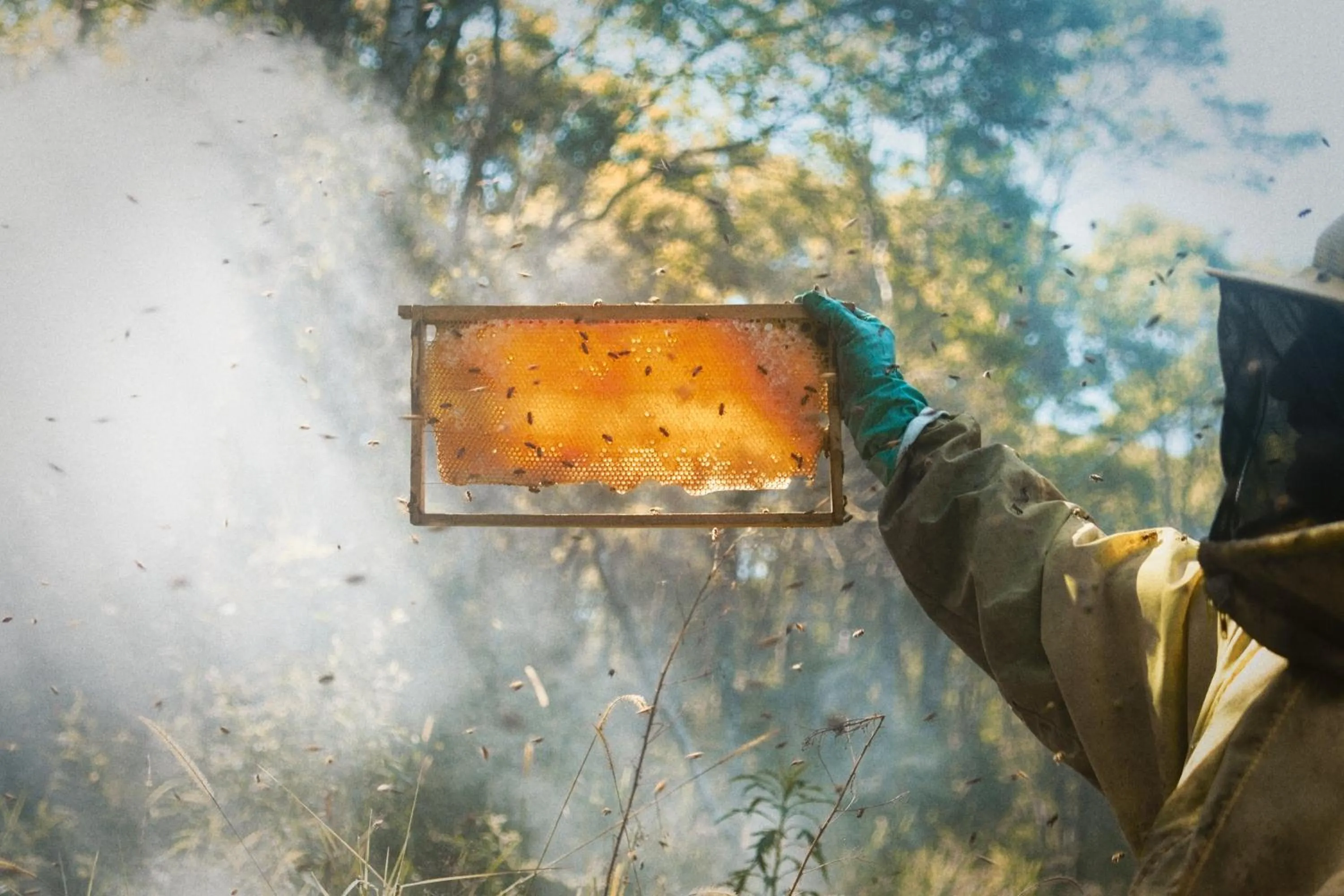 Day in Hotel Fazenda Morros Verdes Ecolodge