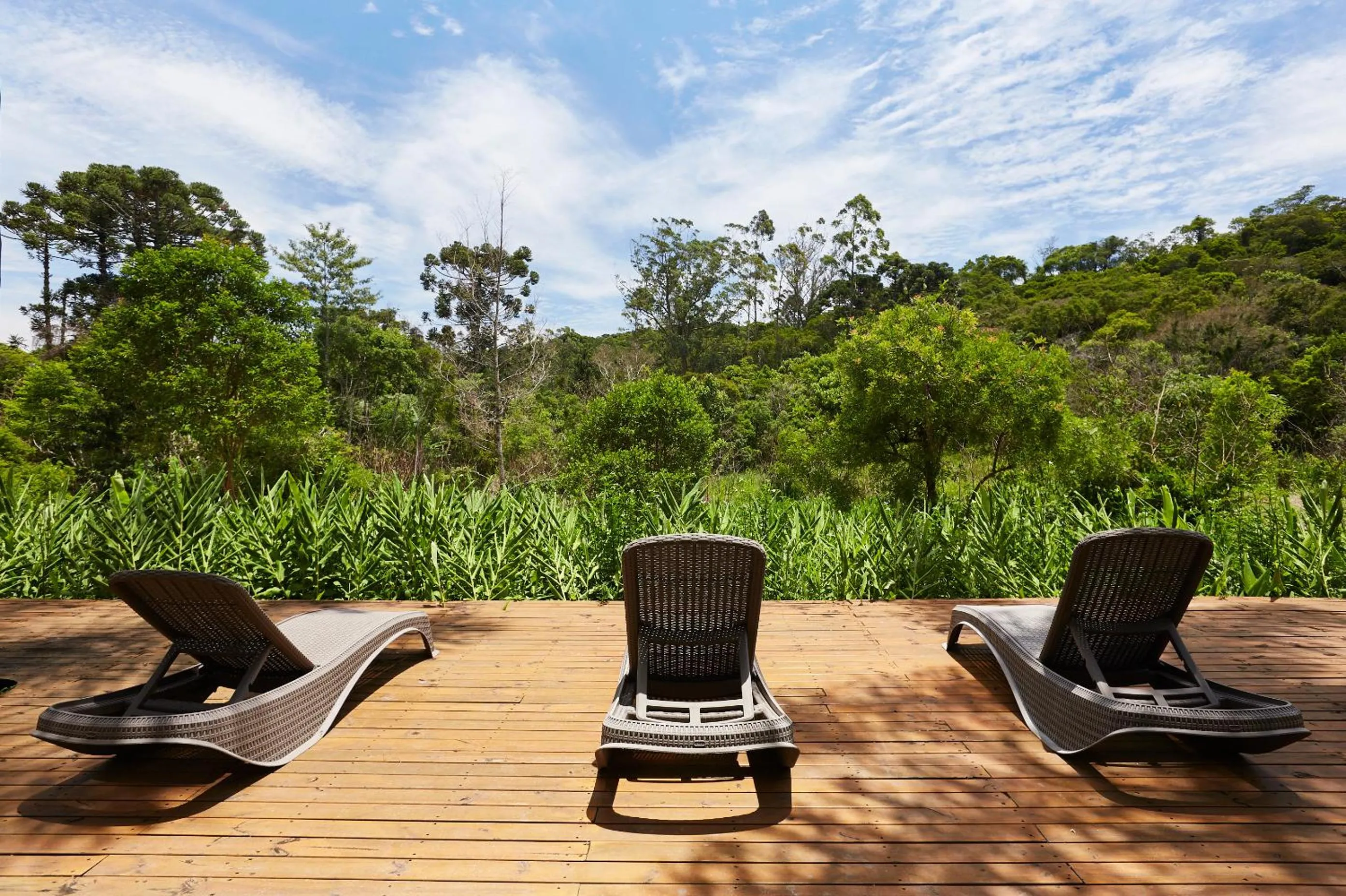 Day in Hotel Fazenda Morros Verdes Ecolodge