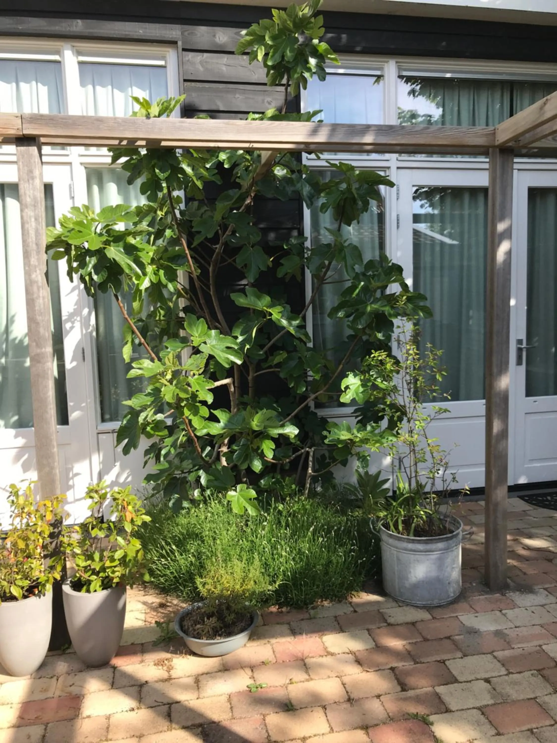 Garden view in B&B Zee van Tijd Domburg