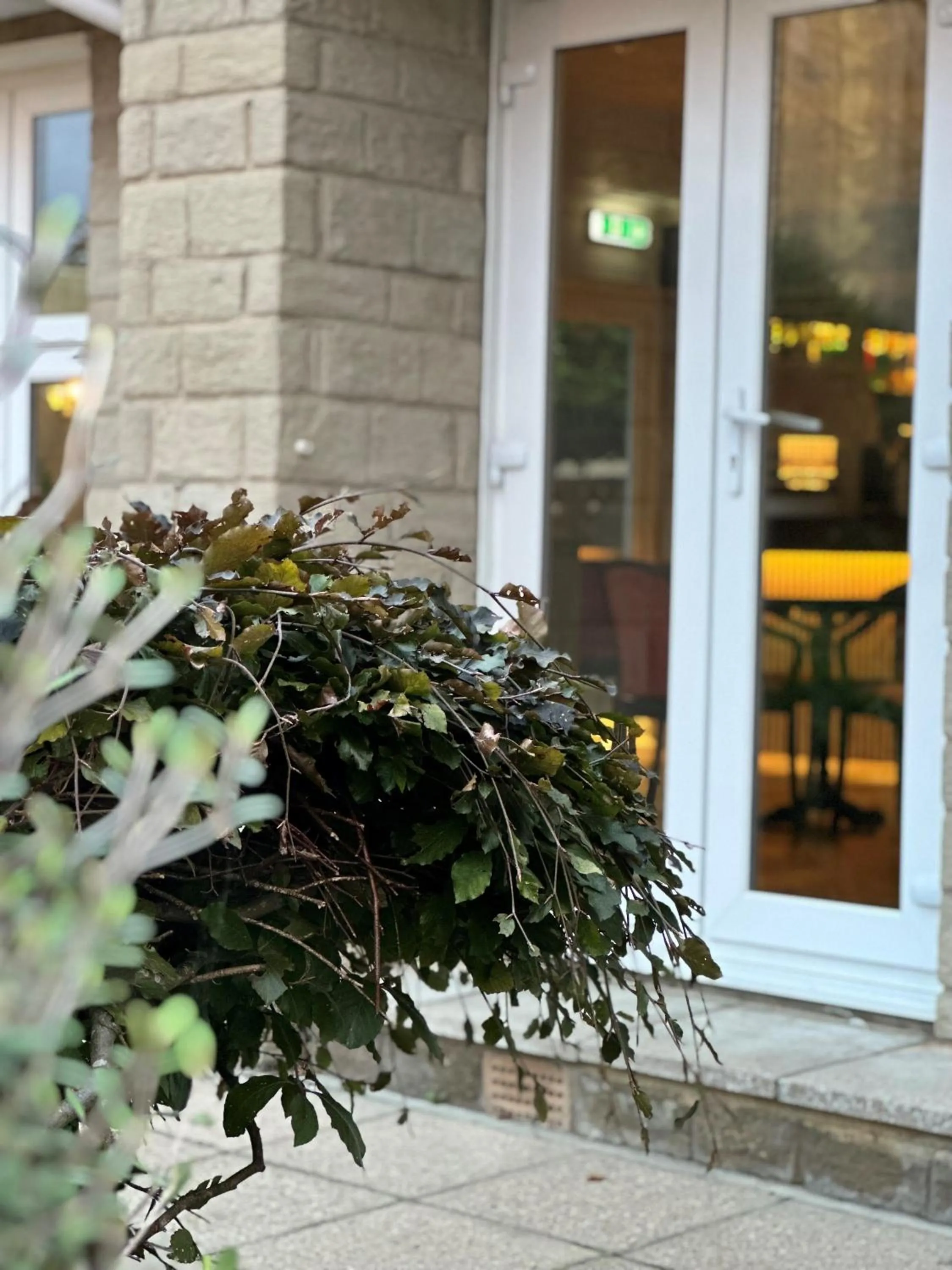 Garden in The Q Hotel