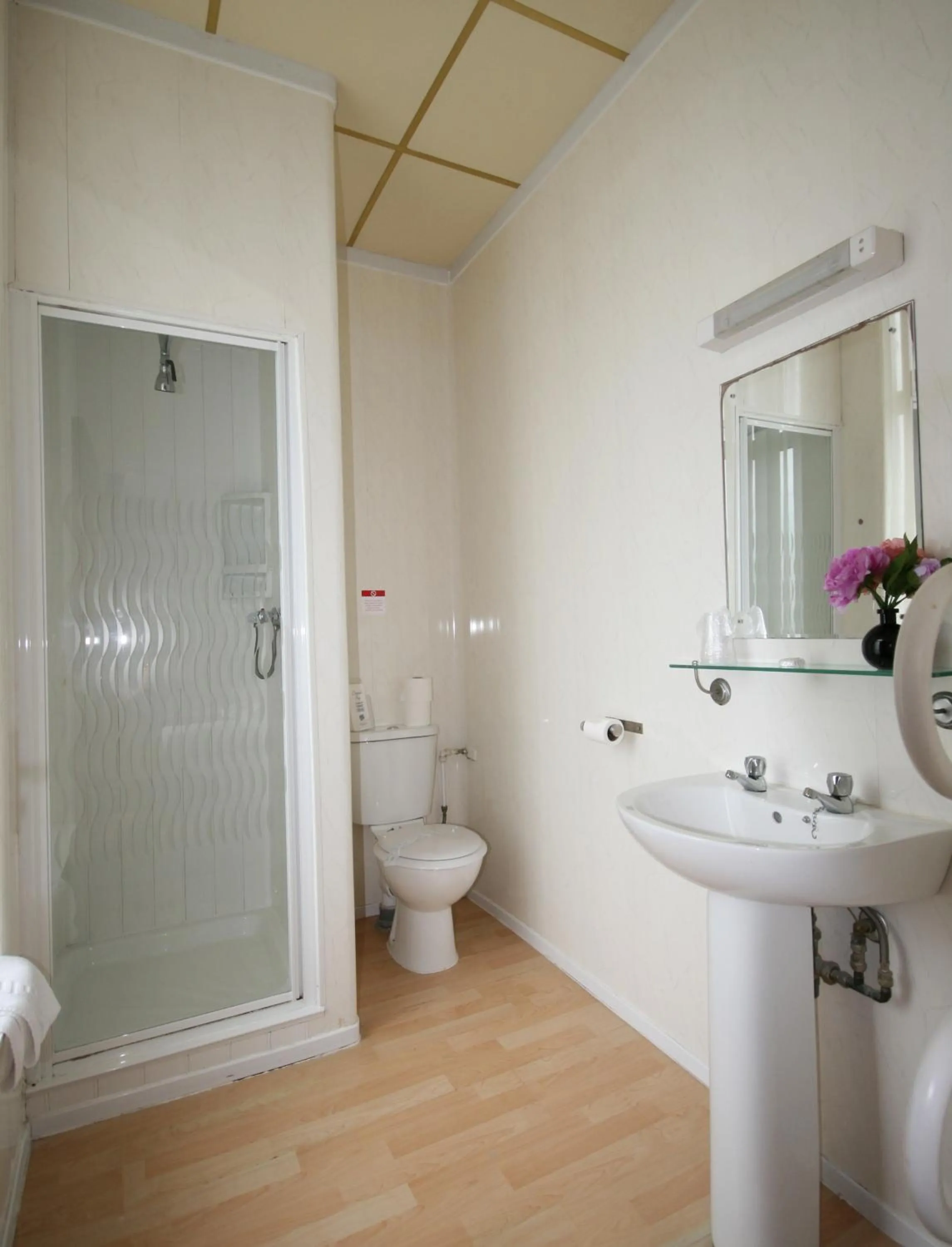 Shower in The Blenheim Mount Hotel