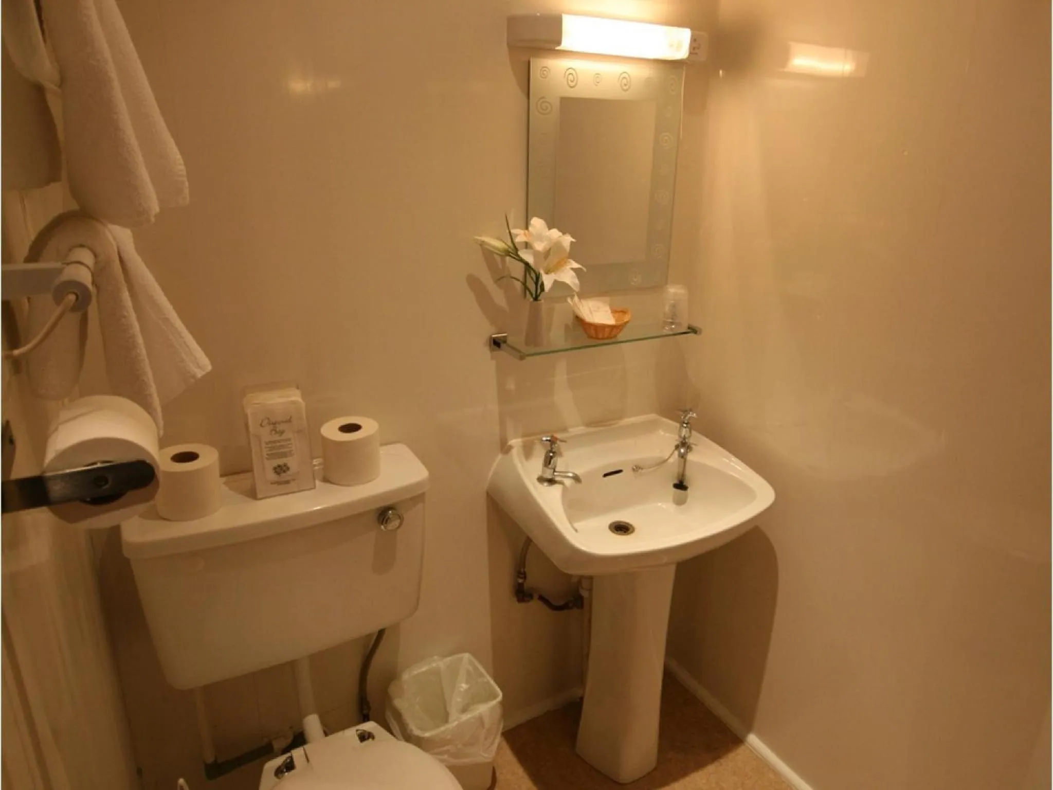 Shower in The Blenheim Mount Hotel