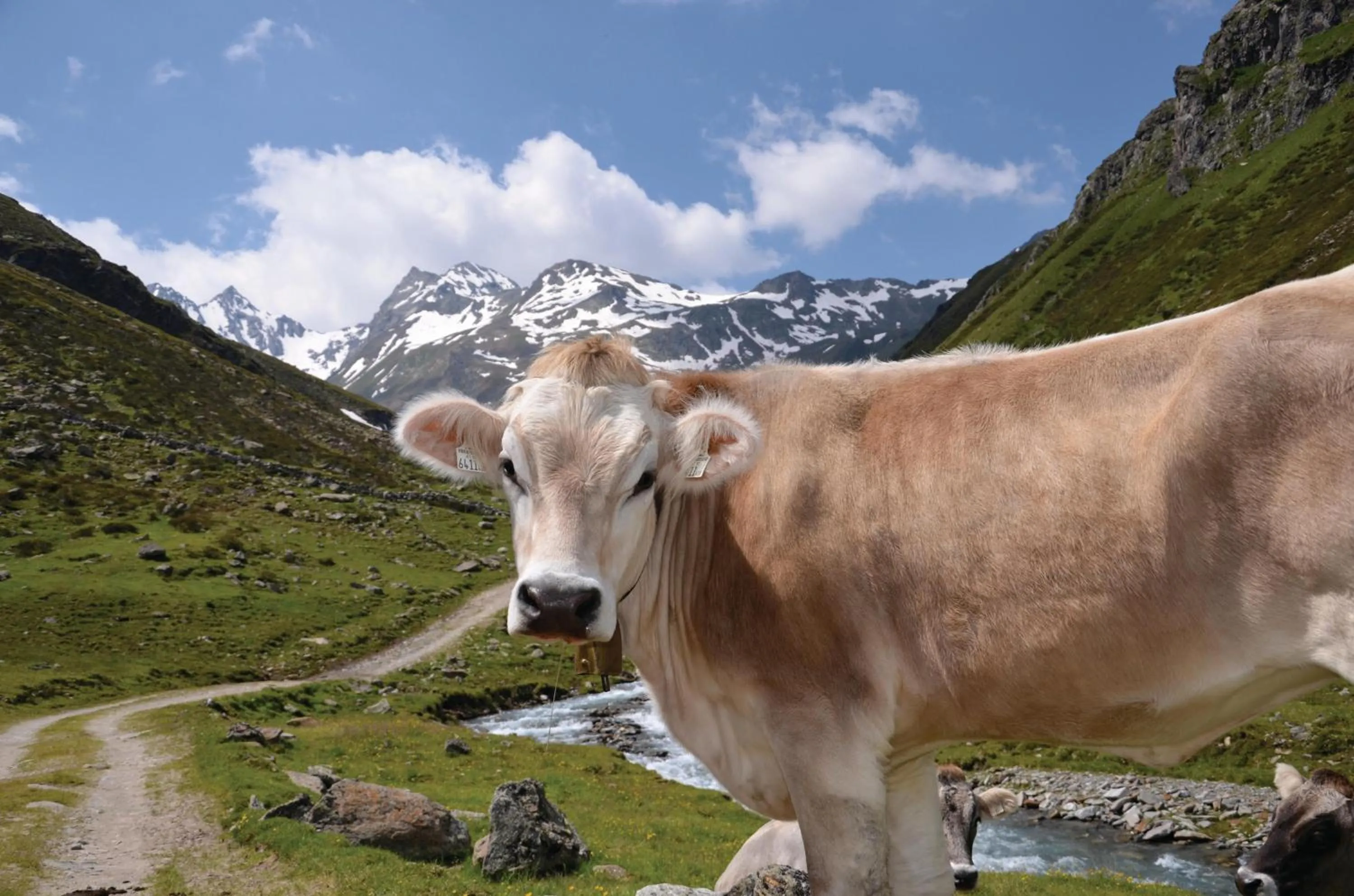 Aqua park in Hotel Garni Löwen
