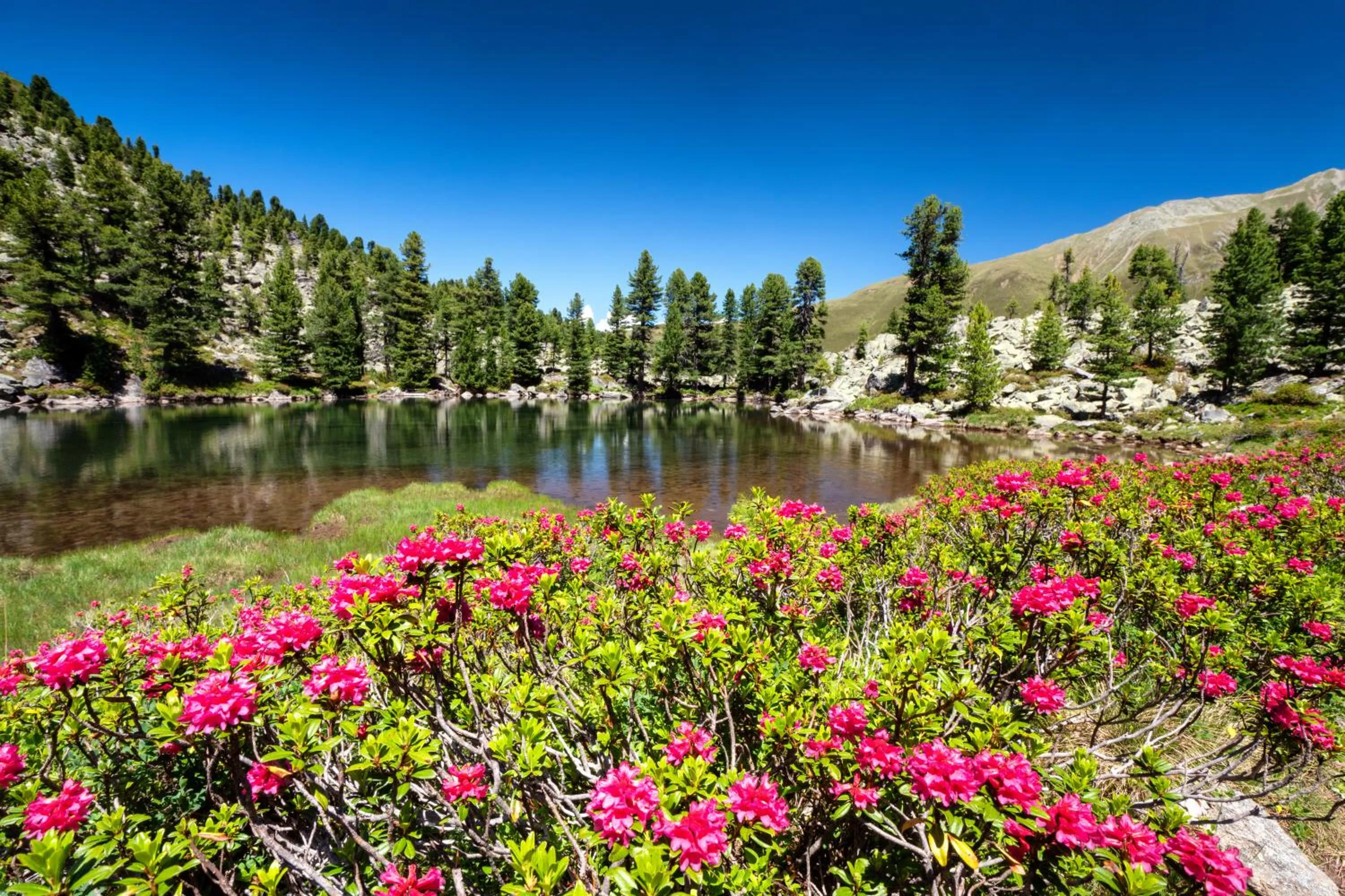 Activities in Hotel Garni Löwen