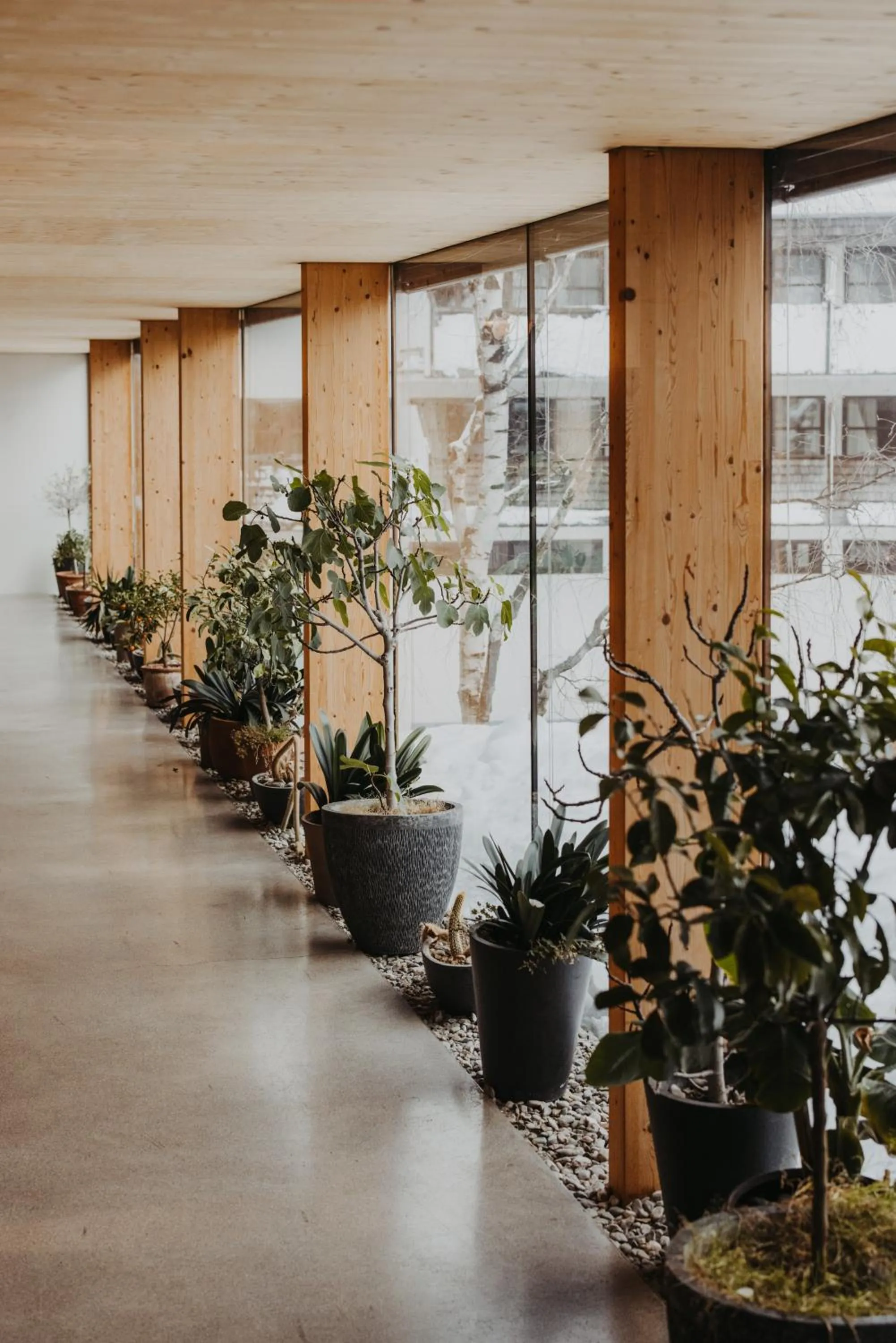 Photo of the whole room in Hotel Hinteregger