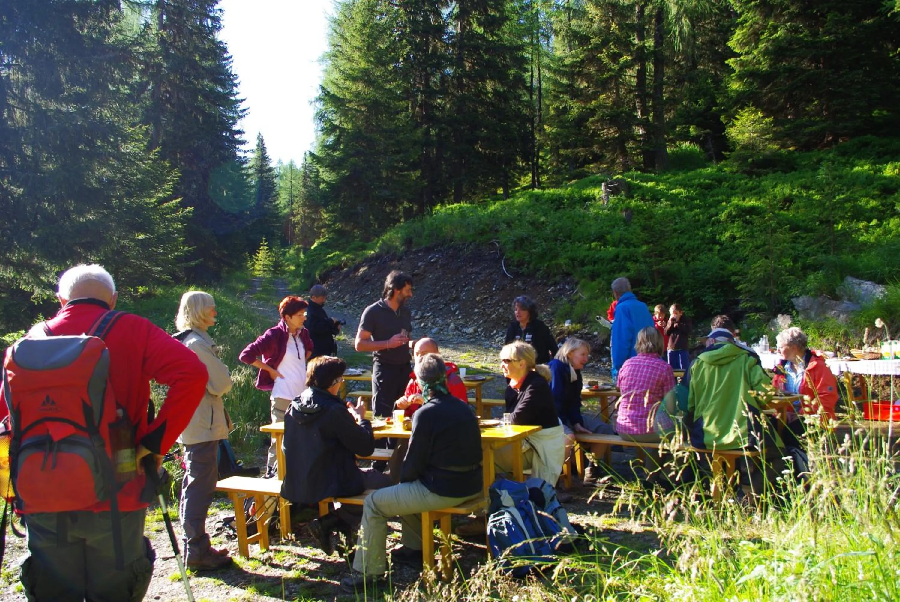 Hiking in Hotel Pfleger