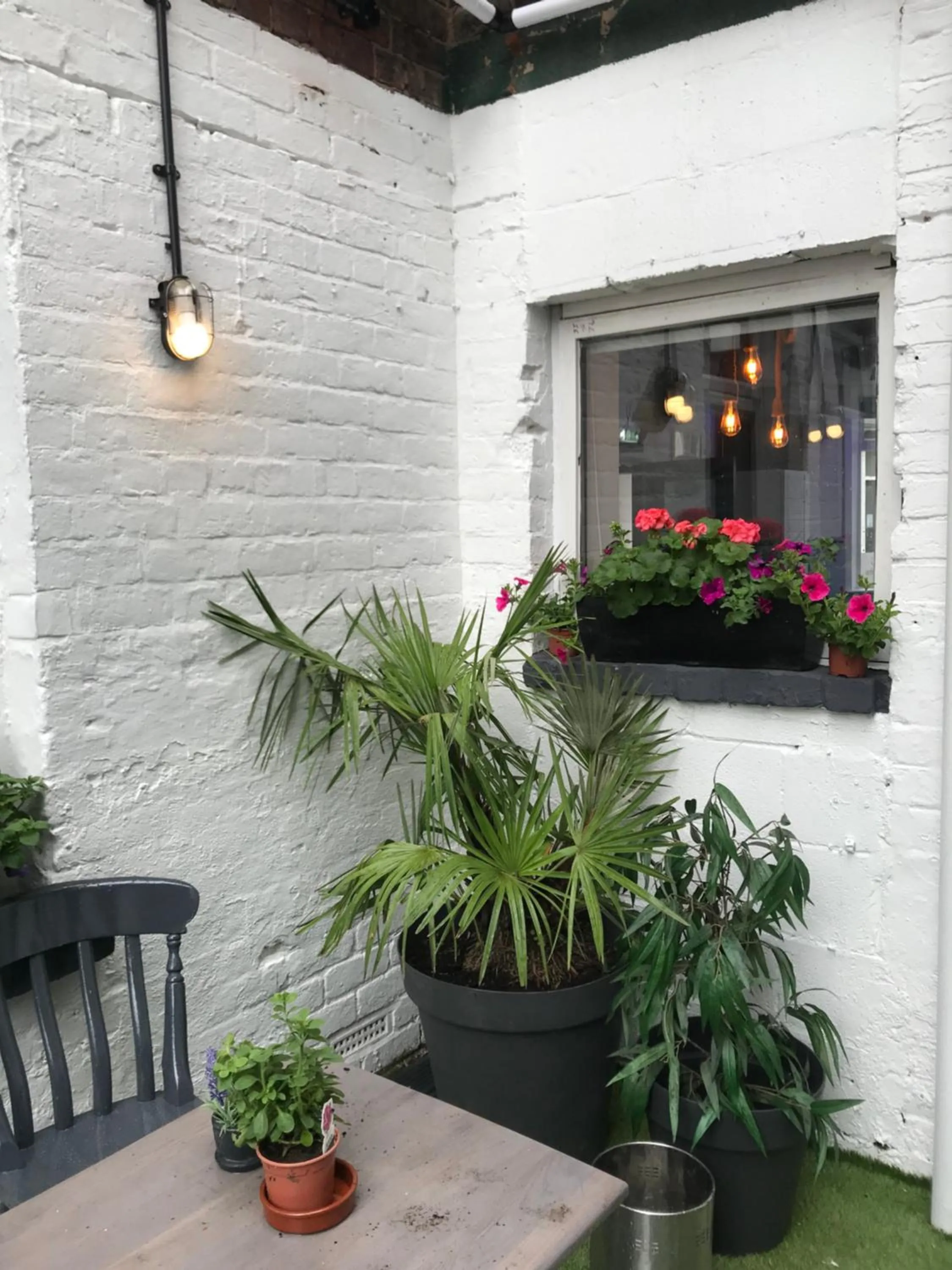 Garden in The Wellington House Hotel