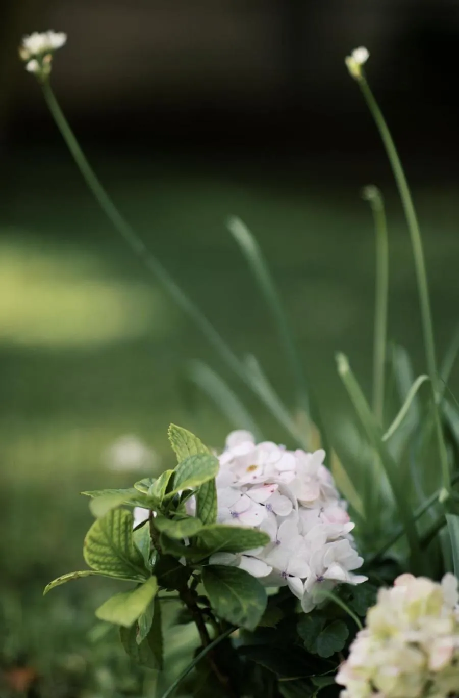 Tulia Retreat Hotel and Spa