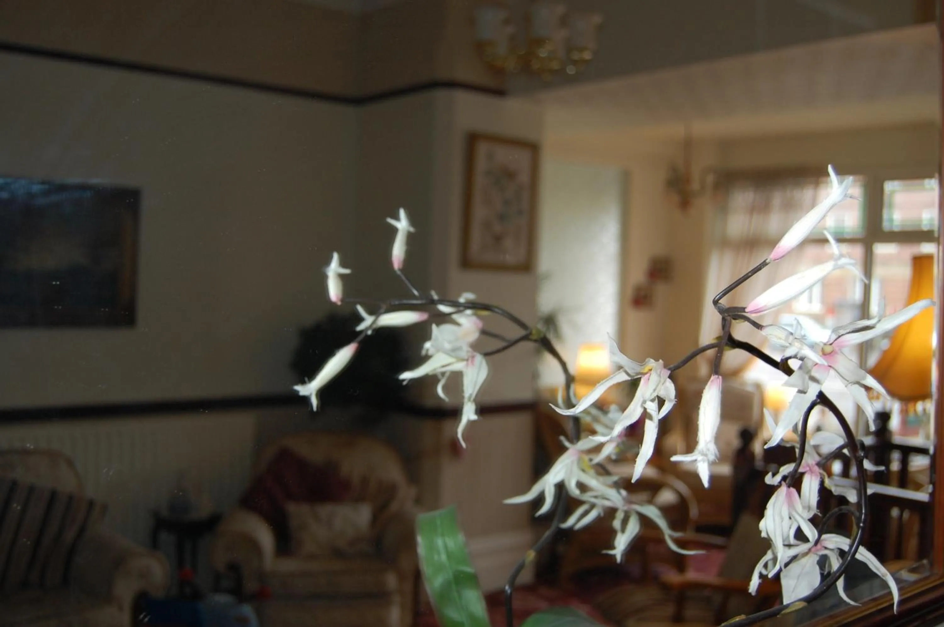 Decorative detail in The Hollingworth