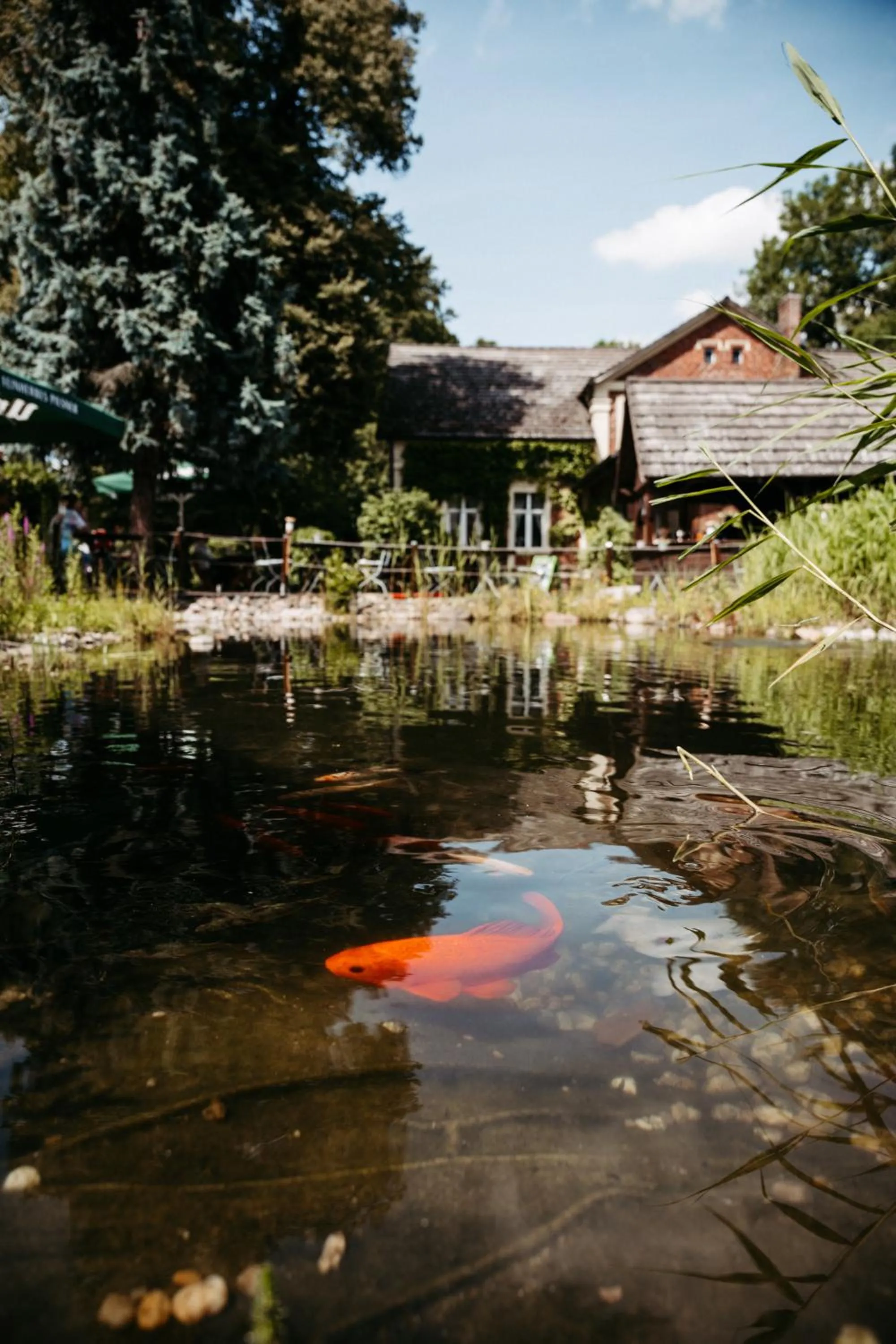 Patio in Hotel Kolonieschänke