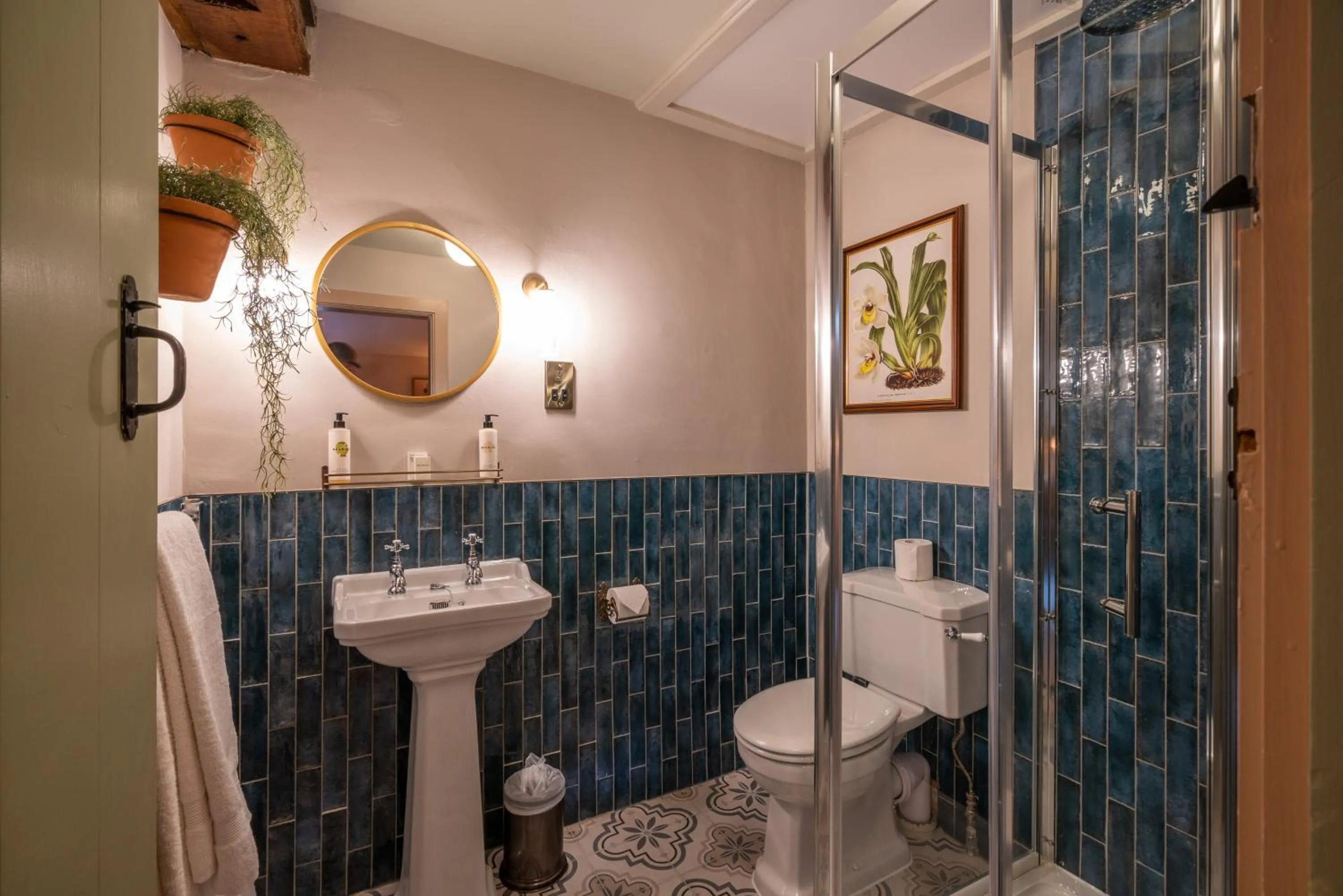 Shower in The George Inn & Plaine