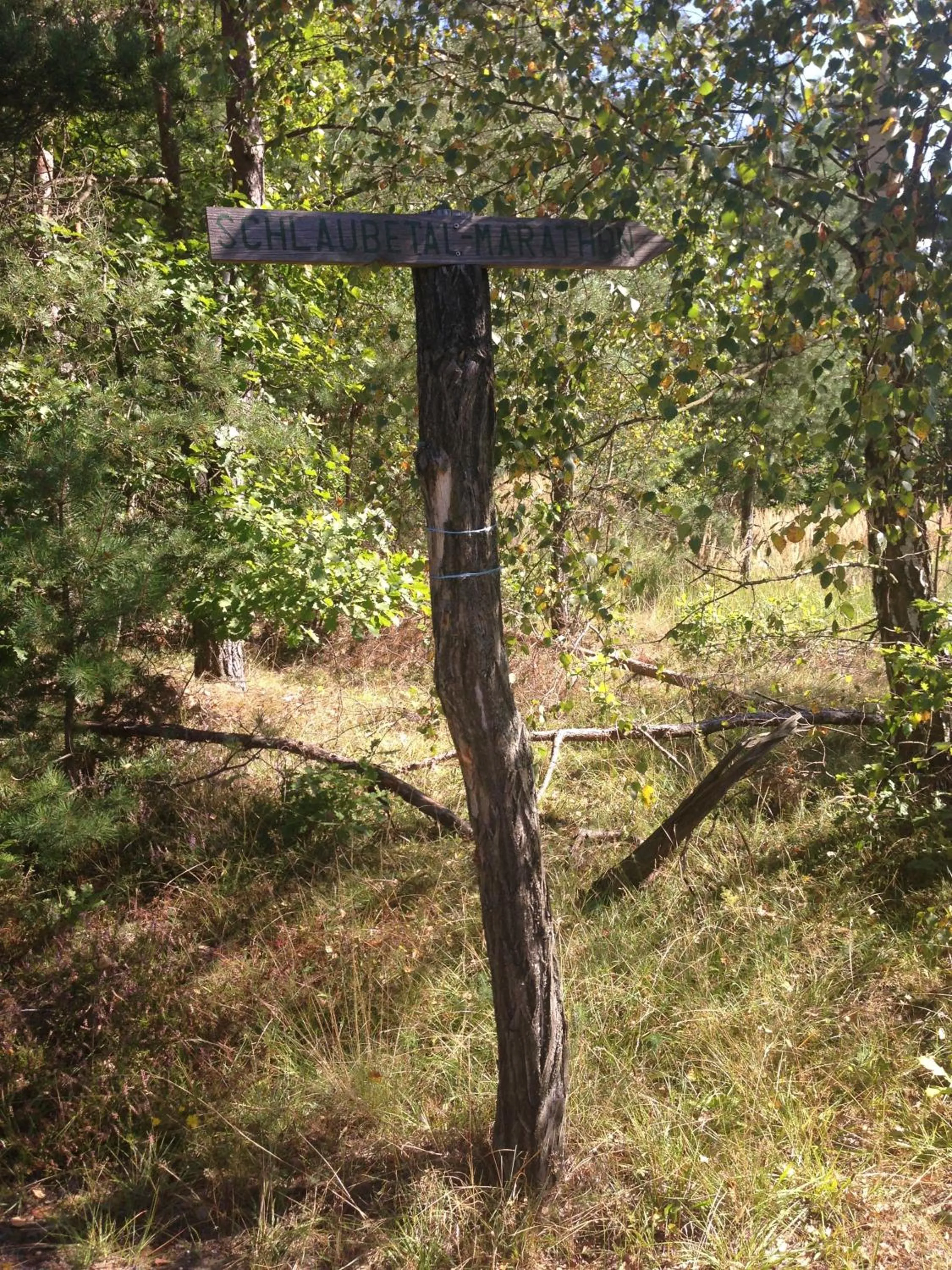 Hiking in Hotel Prinz Albrecht