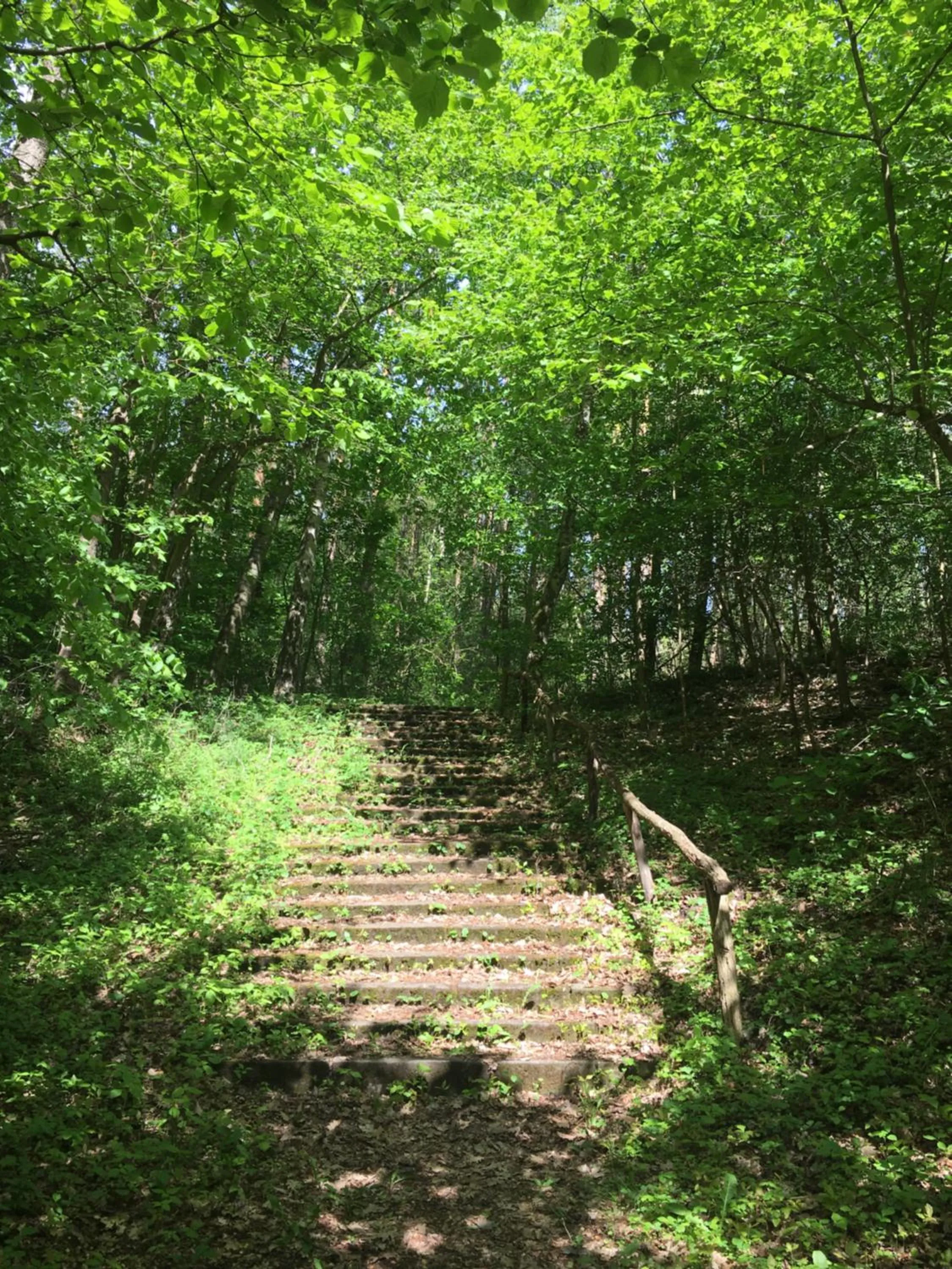 Spring in Hotel Prinz Albrecht