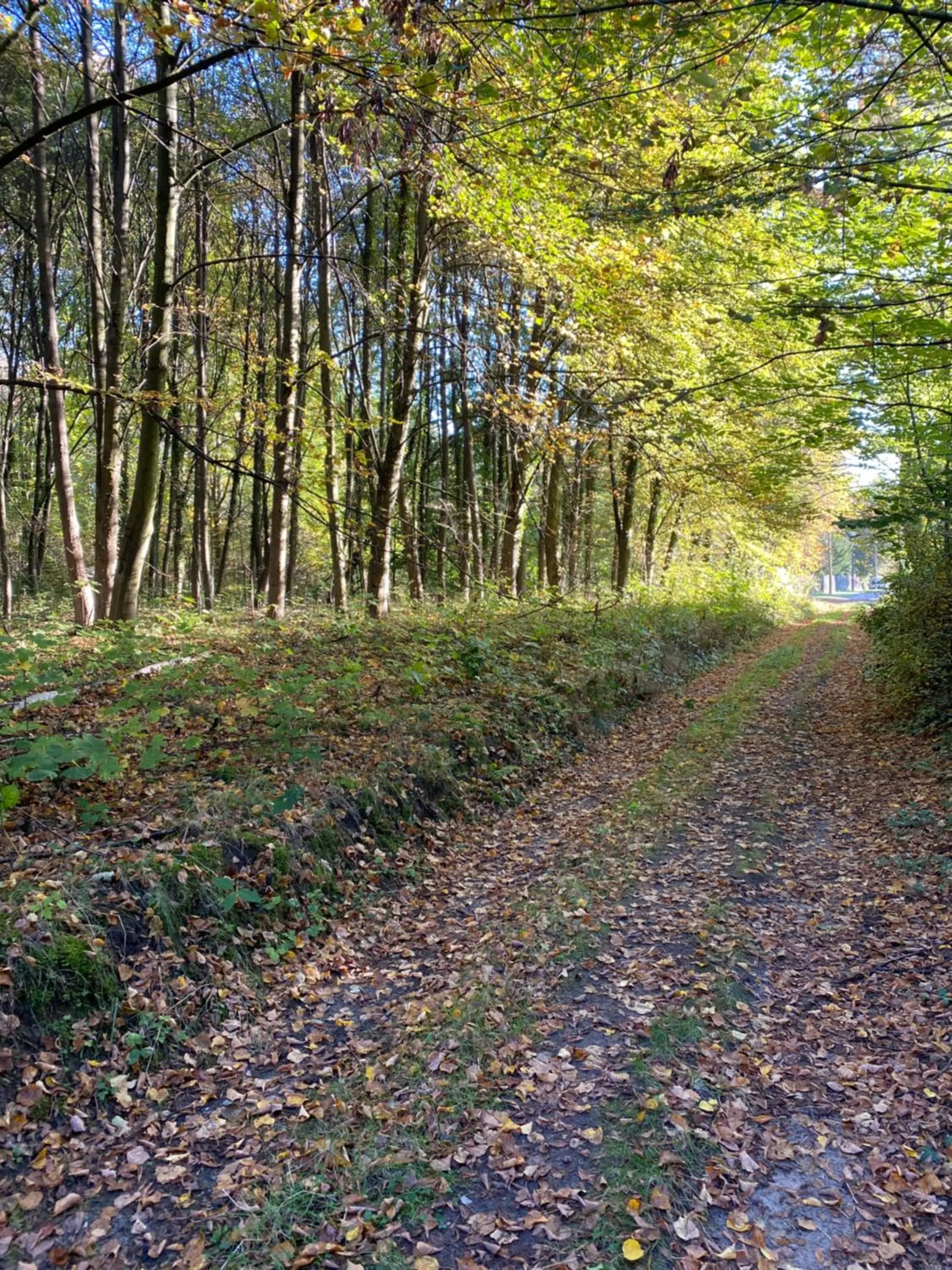 Hiking in Hotel Prinz Albrecht