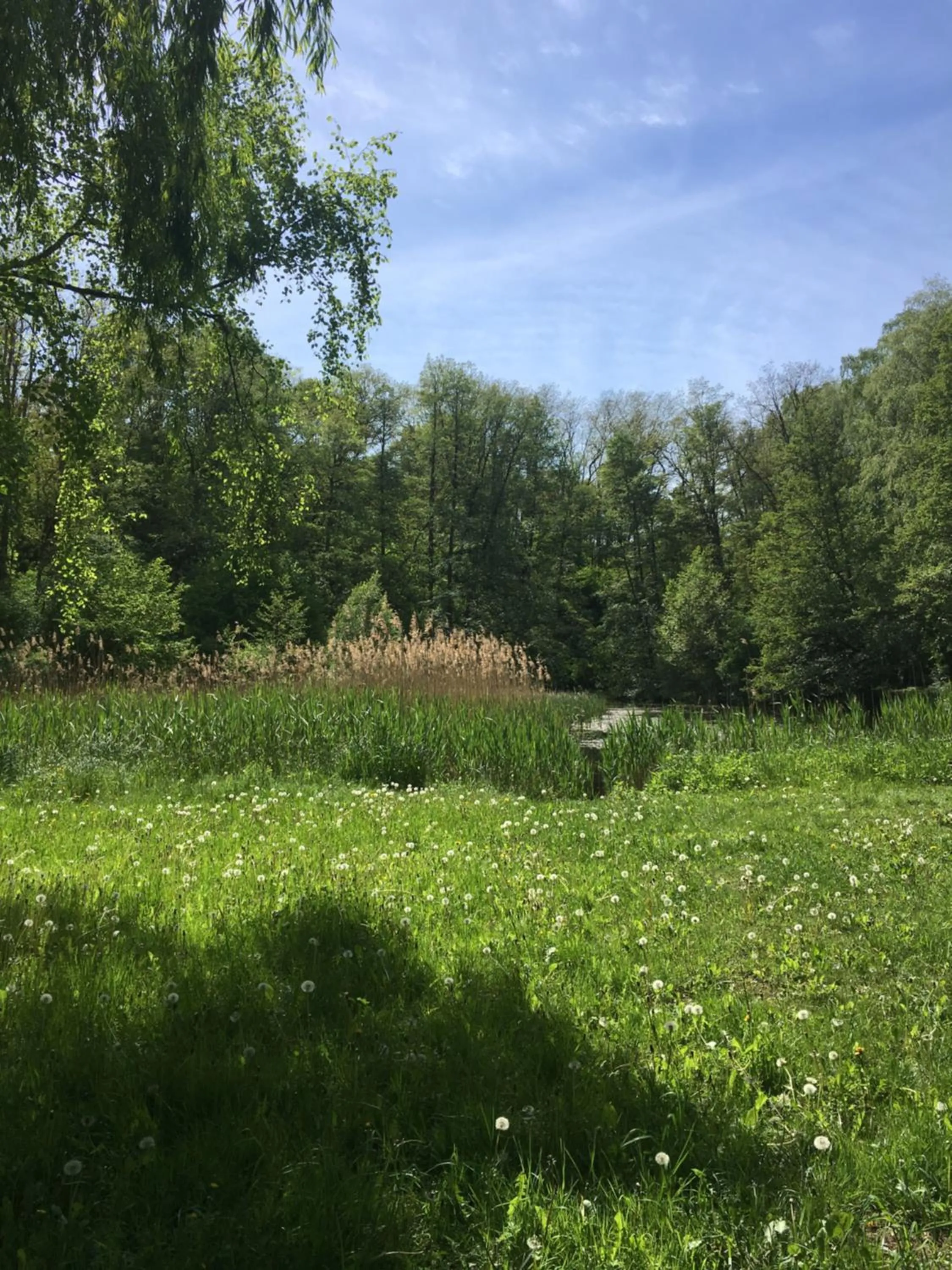 Spring in Hotel Prinz Albrecht