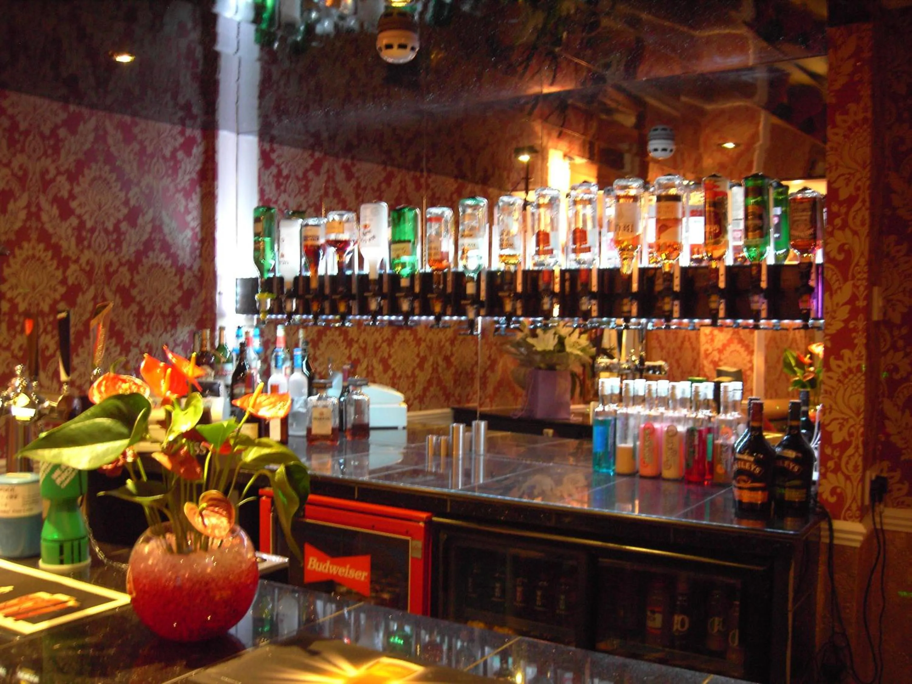 Lounge or bar in New Brooklyn