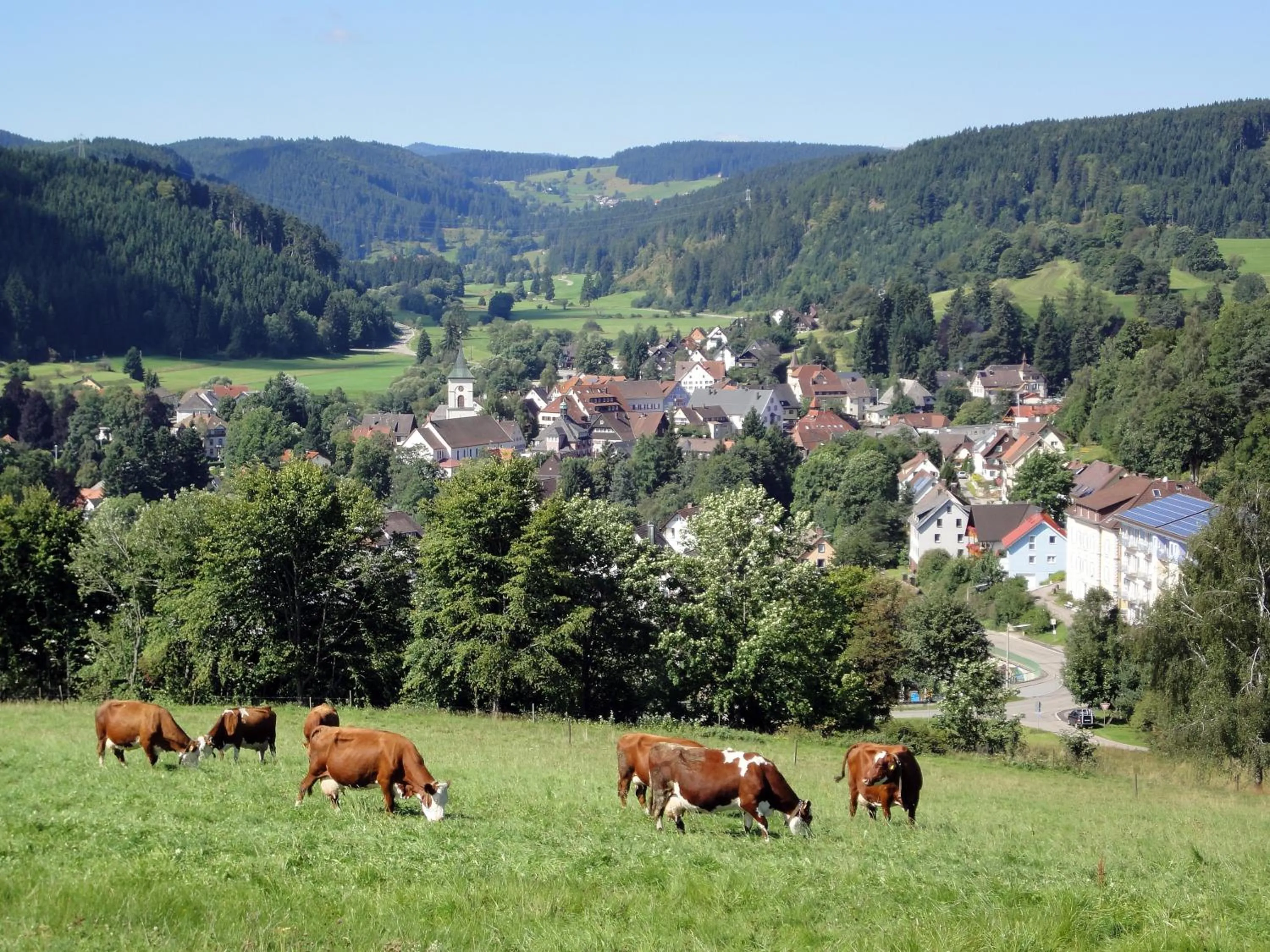 Natural landscape in Hotel Restaurant Schwörer