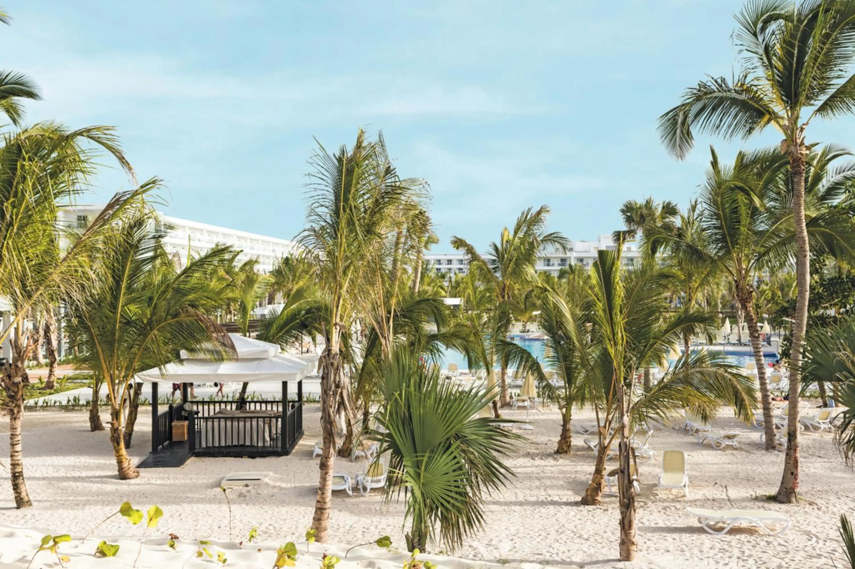 Beach in Riu Republica - Adults Only - All Inclusive