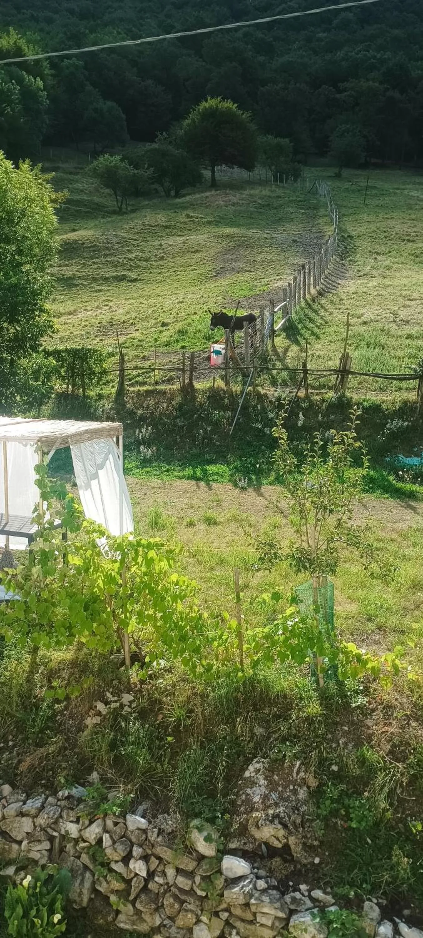 B&B La Corte del Segrino