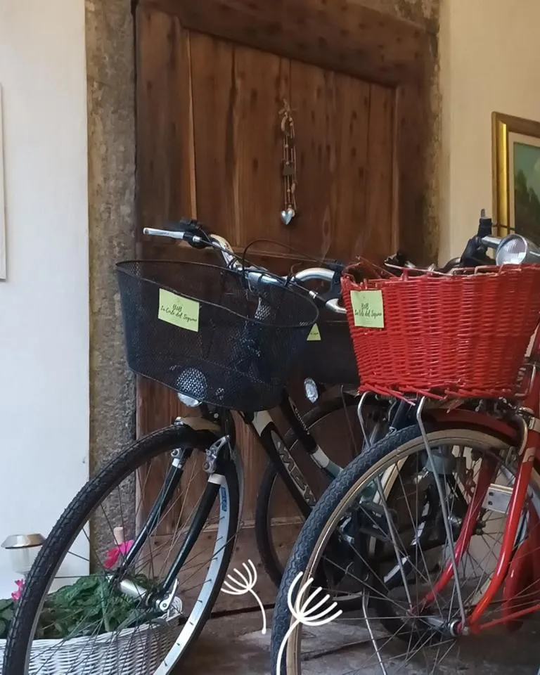 Cycling in B&B La Corte del Segrino