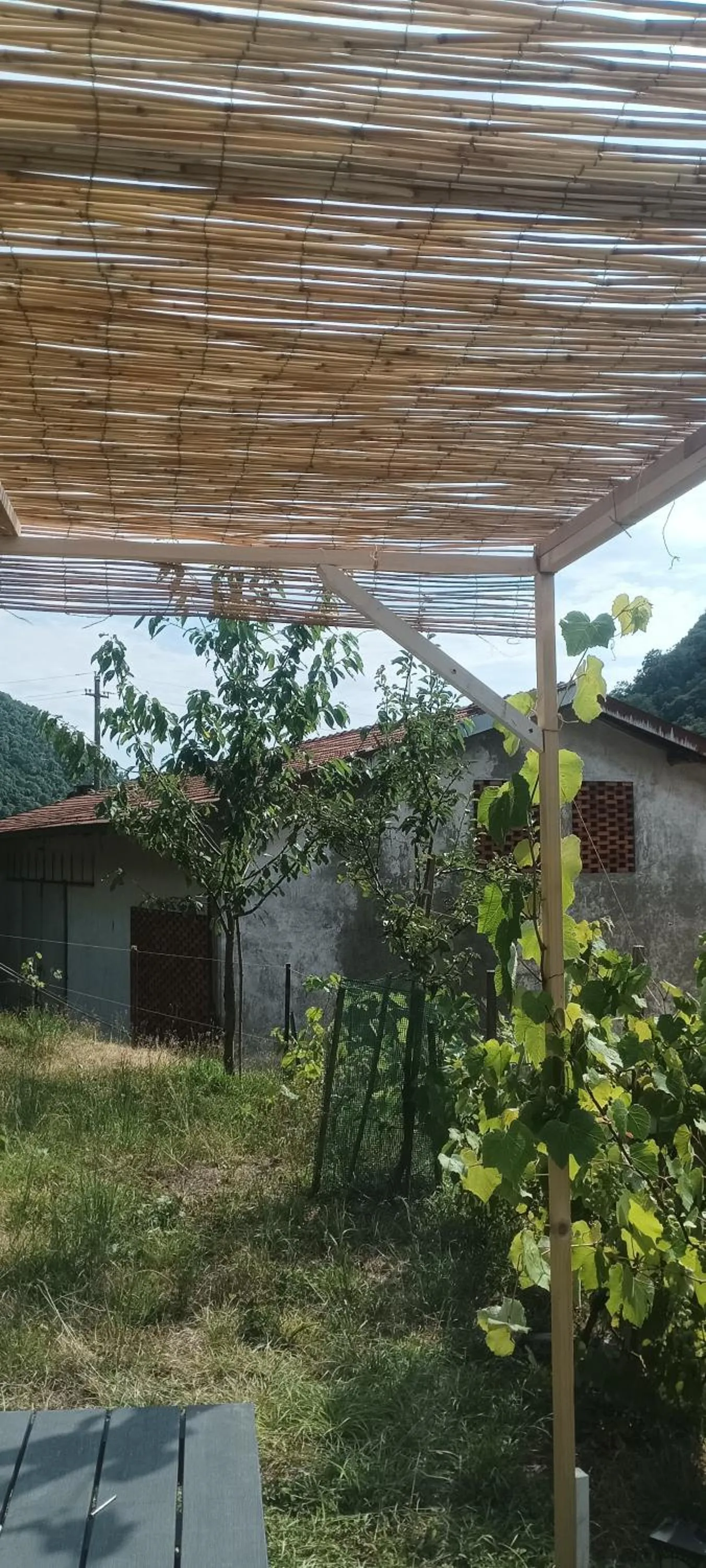 B&B La Corte del Segrino