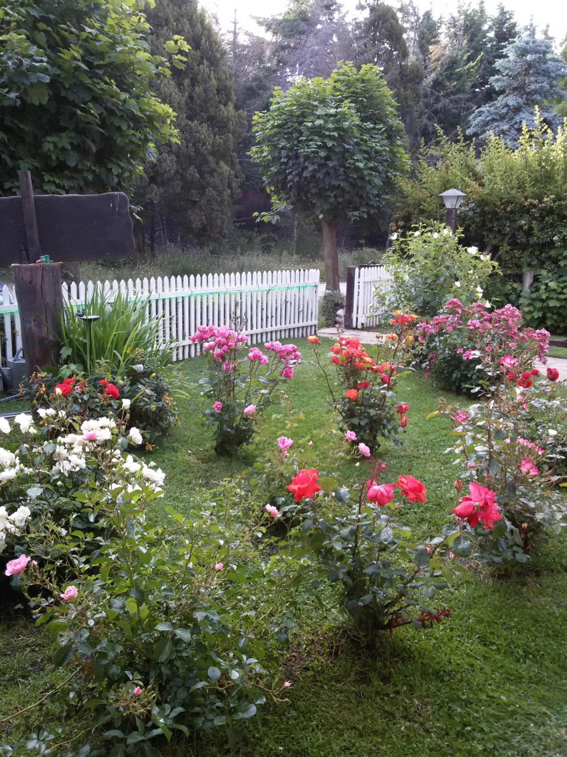 Garden in Posada de la Flor