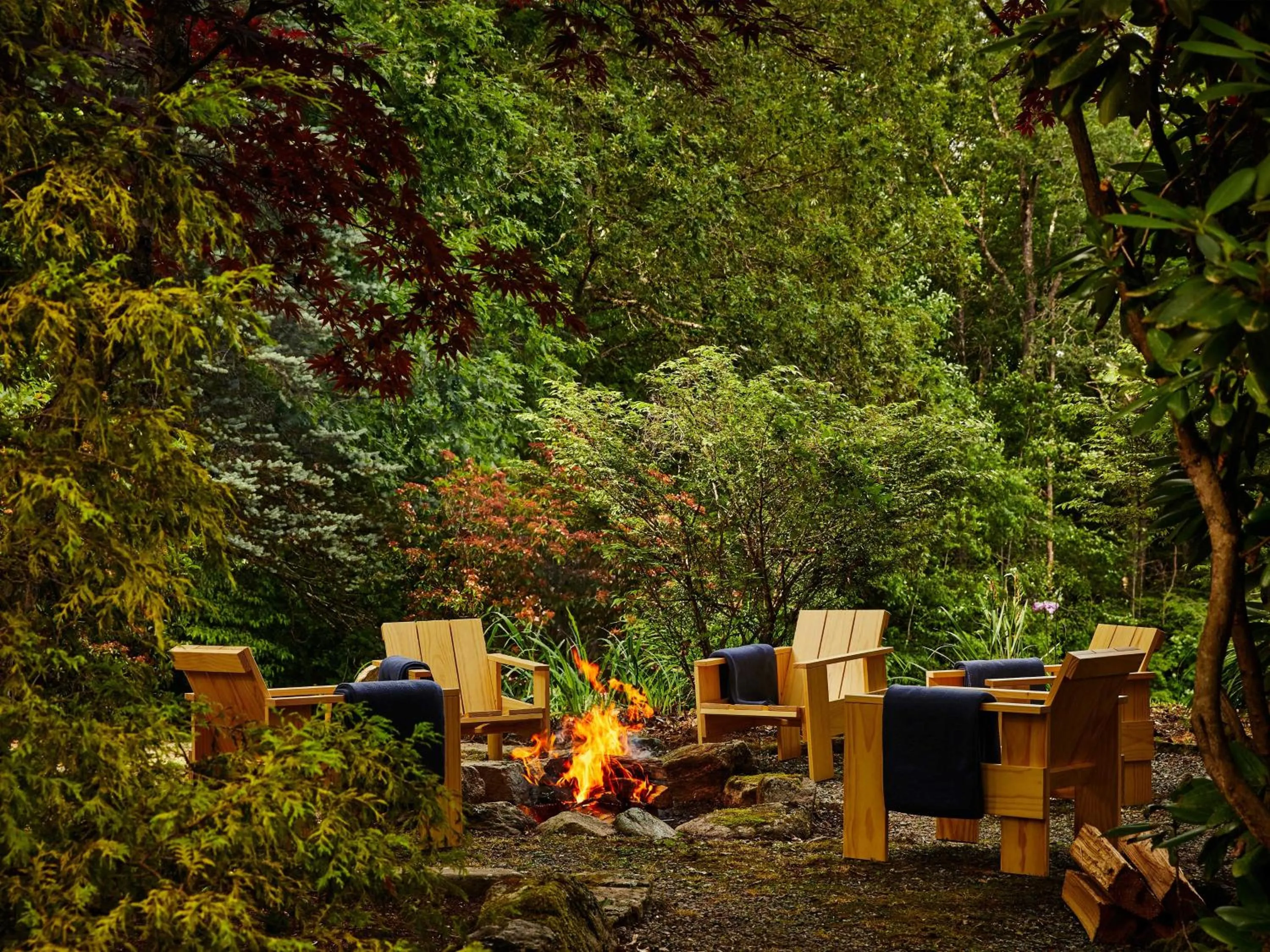 Natural landscape in Trailborn Highlands