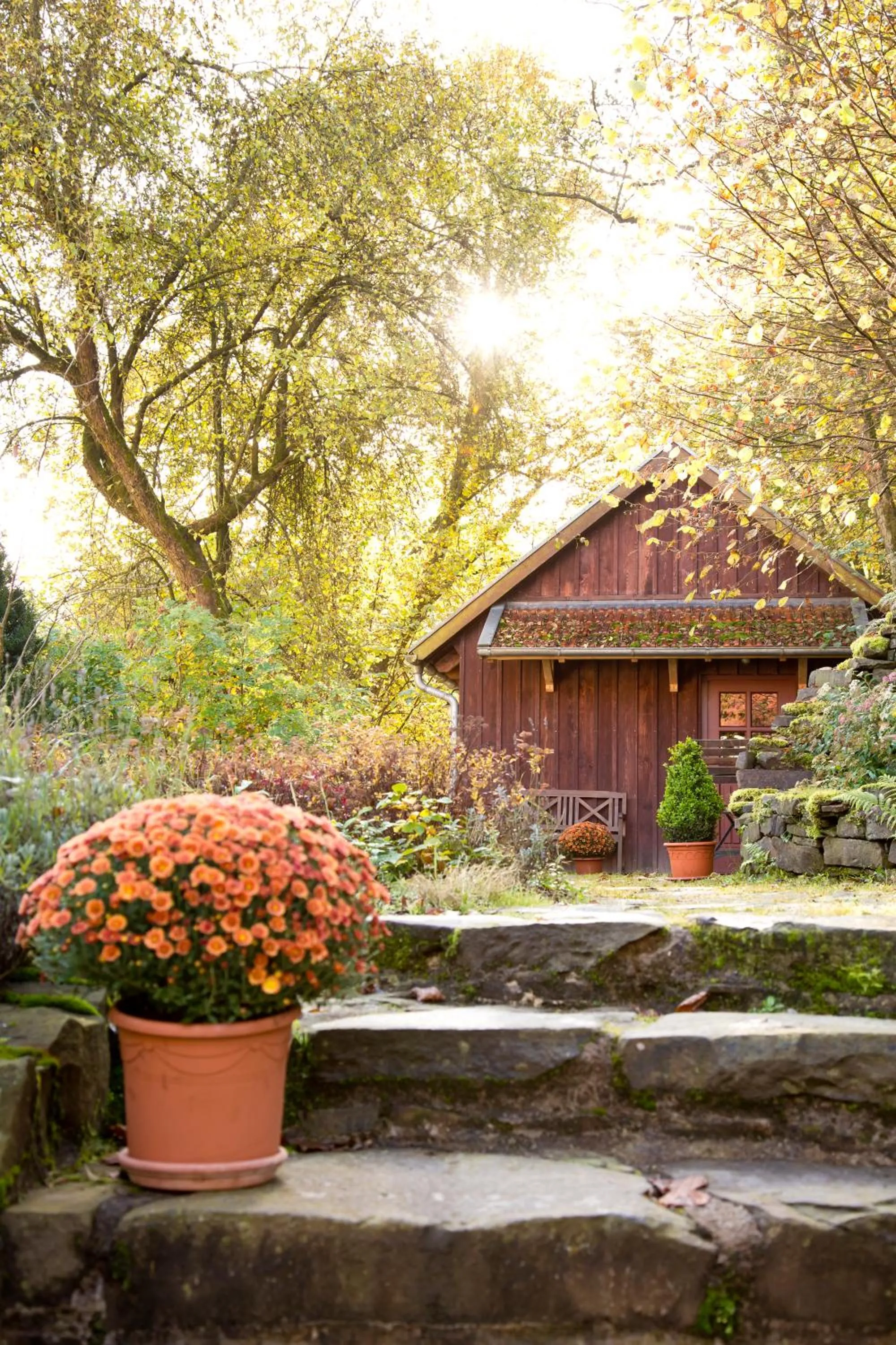 Sauna in Romantik Hotel Landhaus Bärenmühle