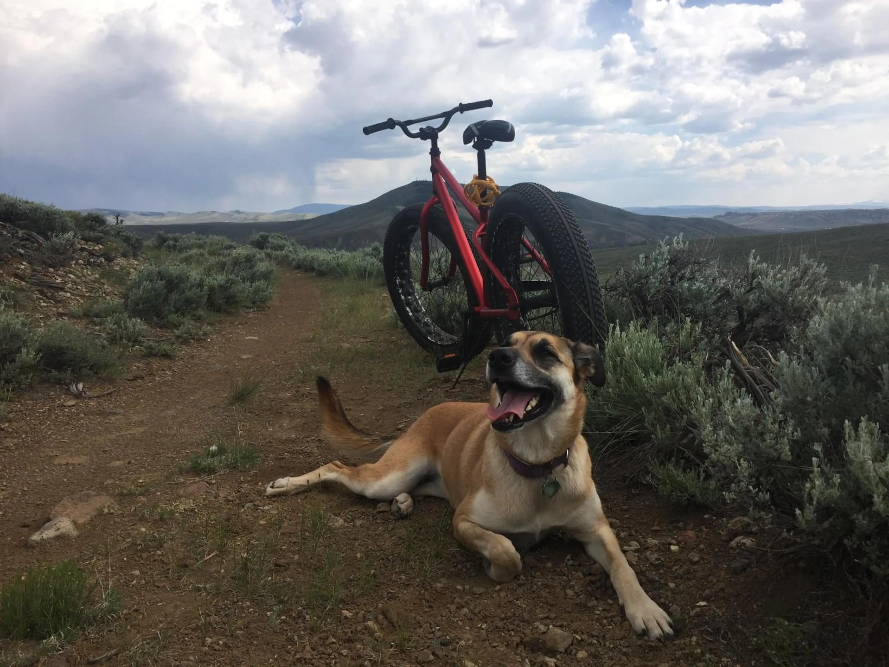 The Wanderlust Hostel