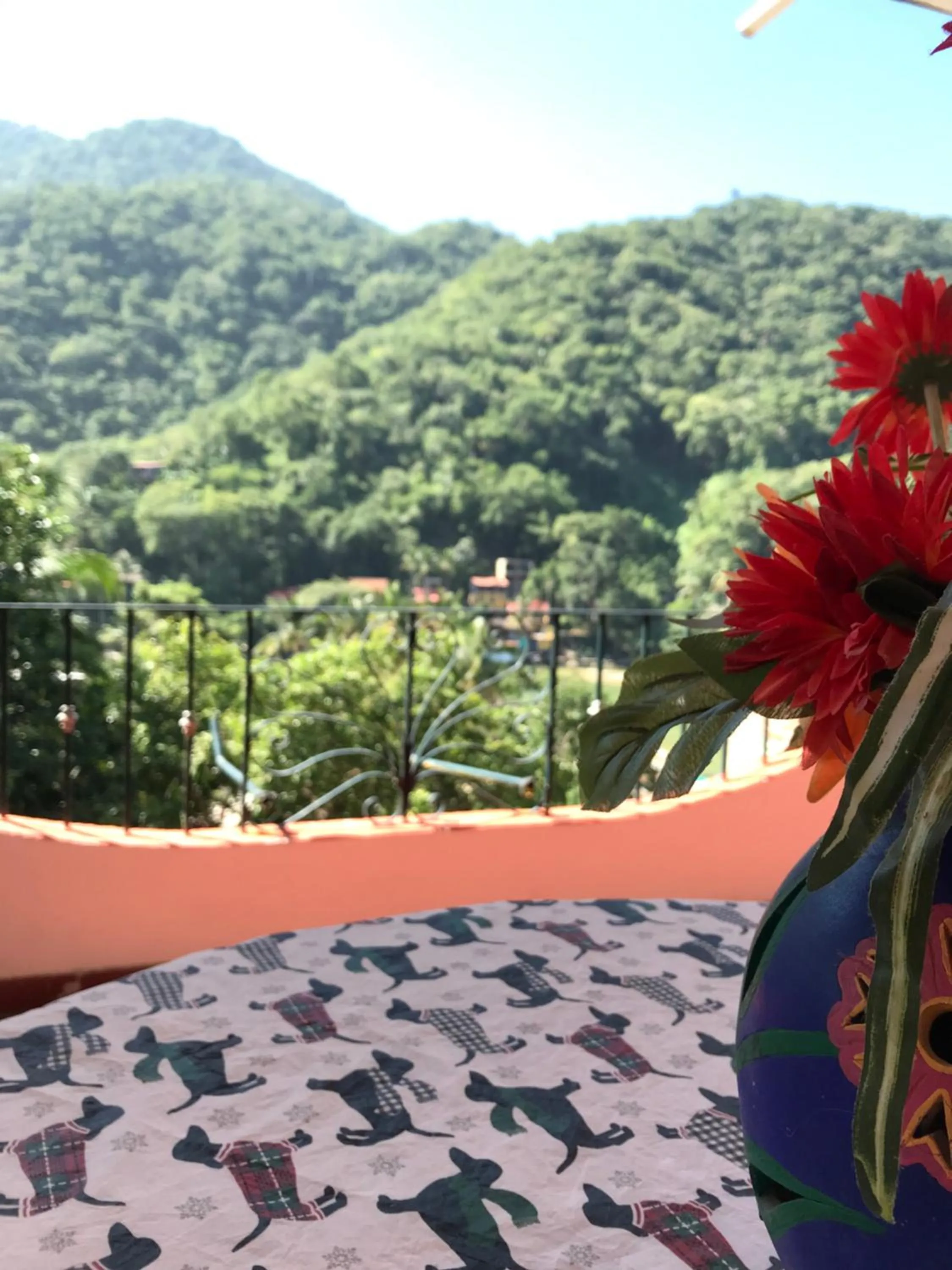 Casa Margarita- escapa a la naturaleza