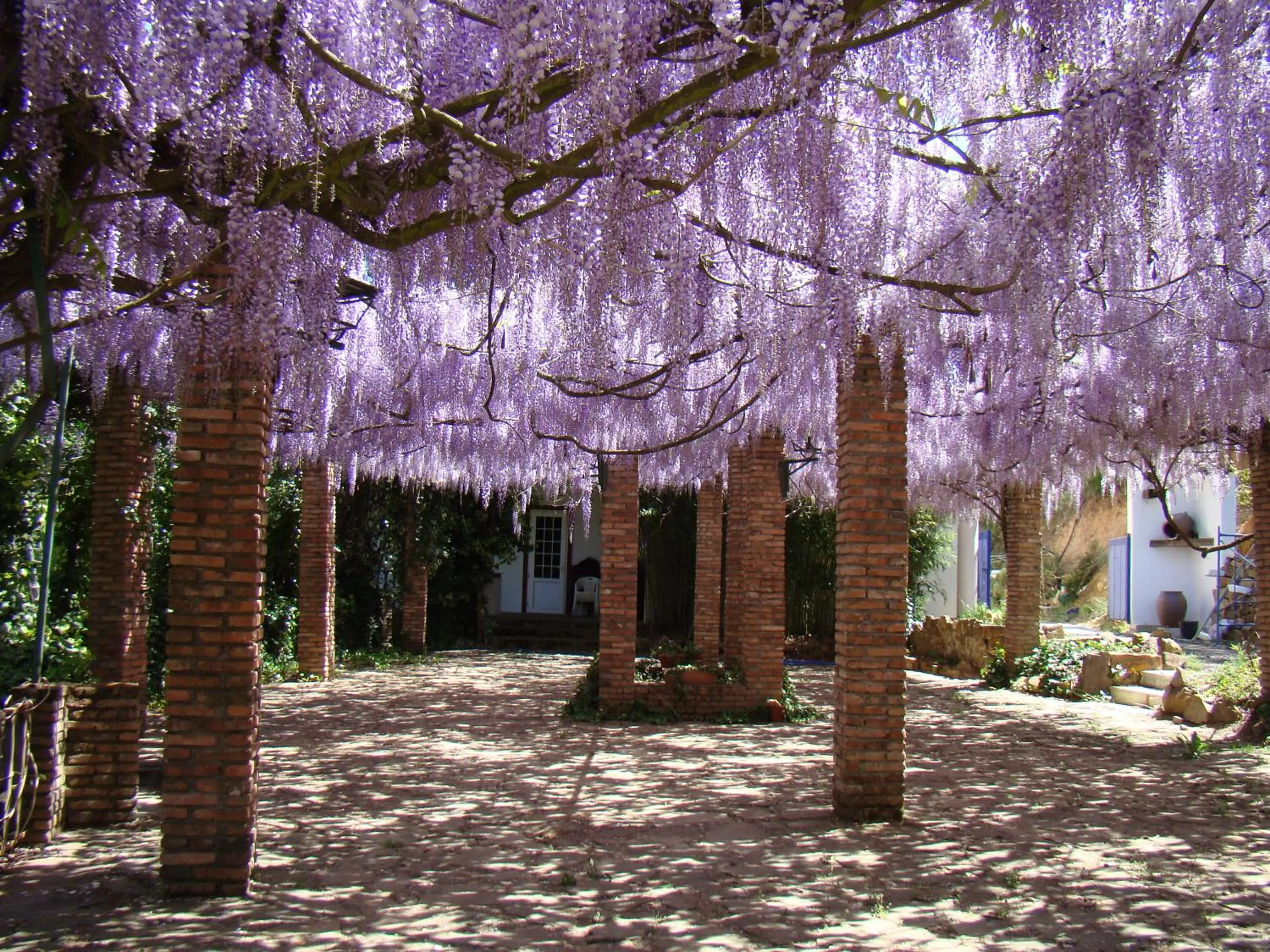 Spring in Hotel Sierra Madrona