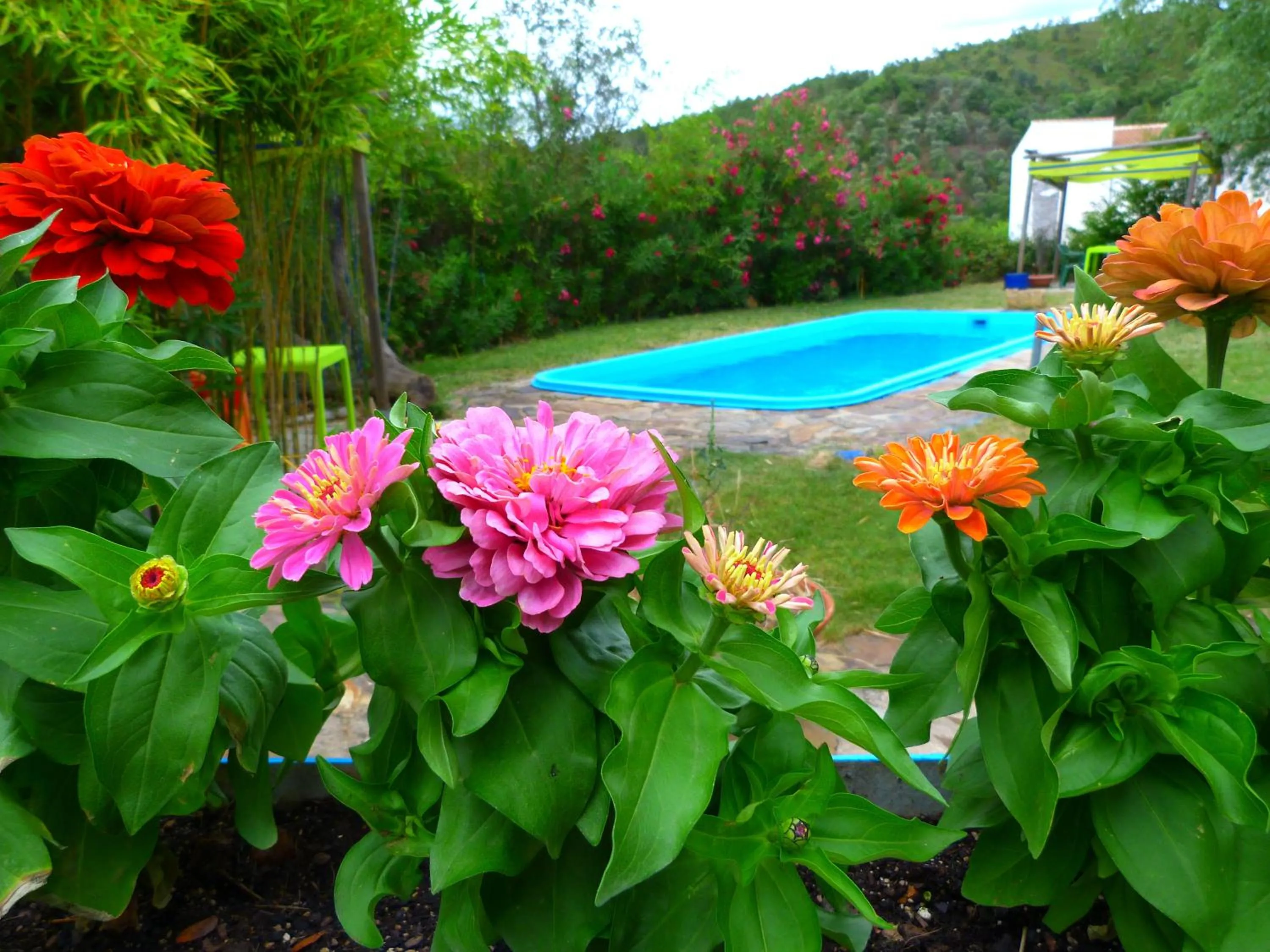 Swimming pool in Hotel Sierra Madrona