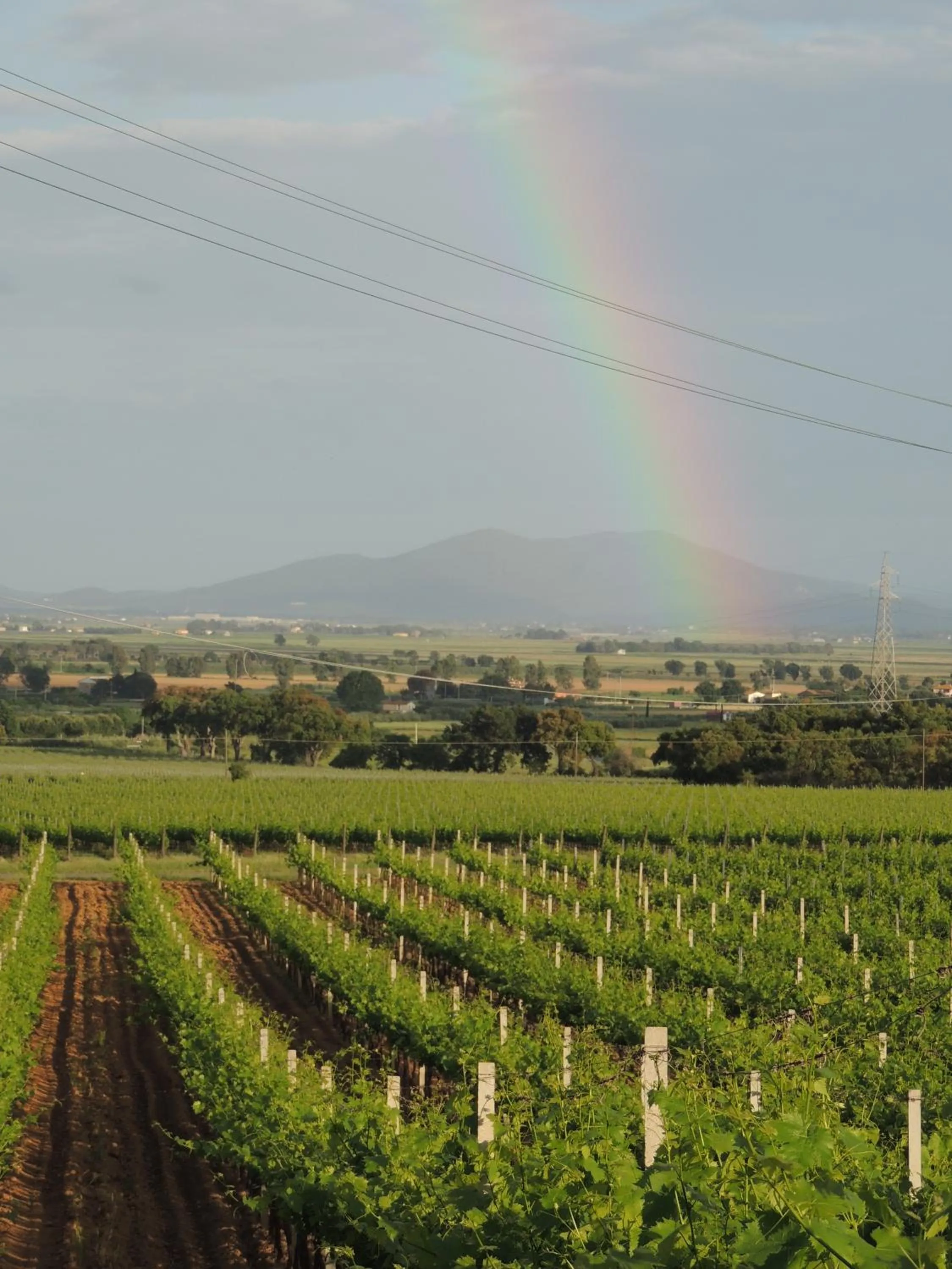 Spring in La Merla
