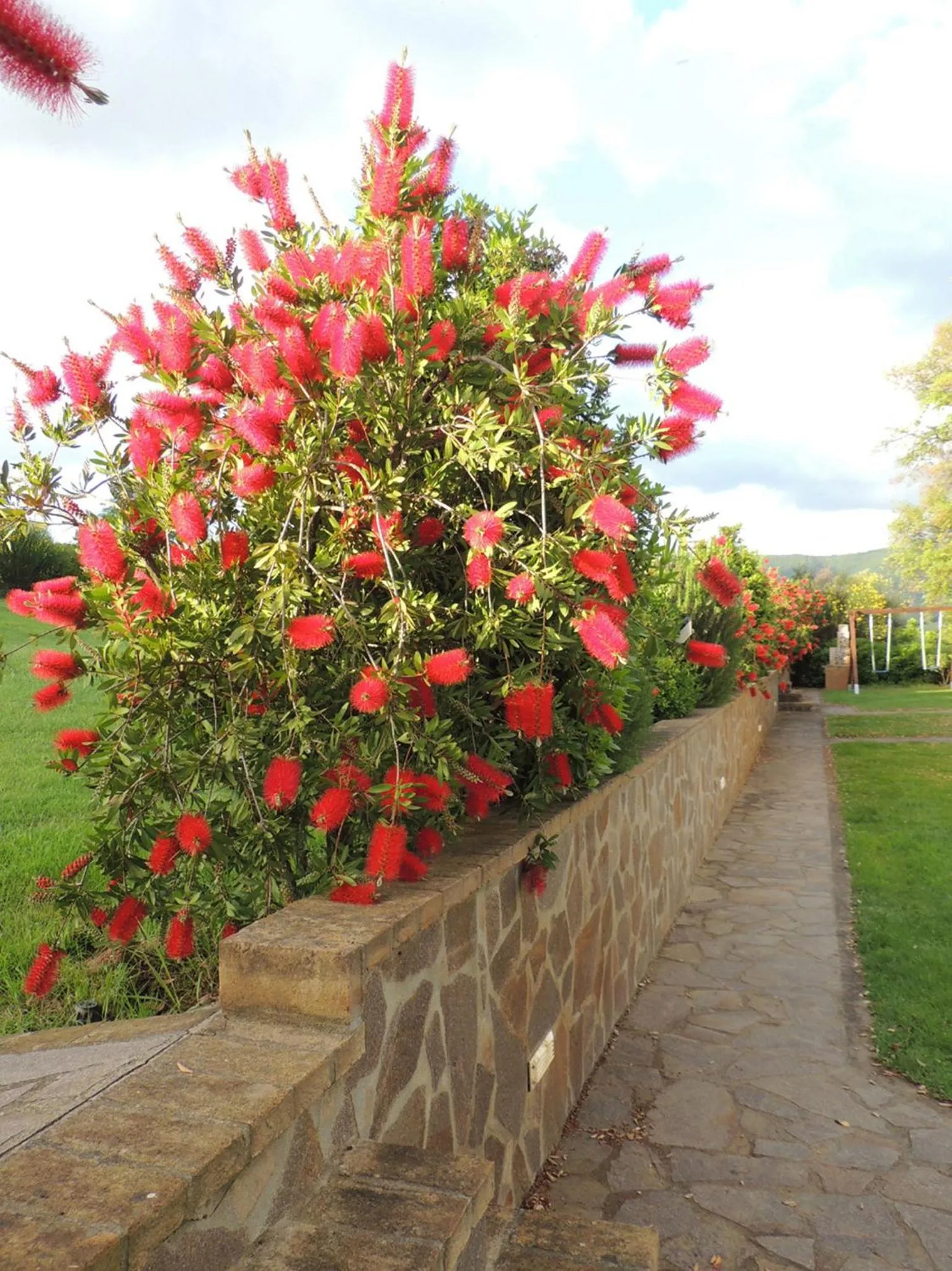 Garden in La Merla