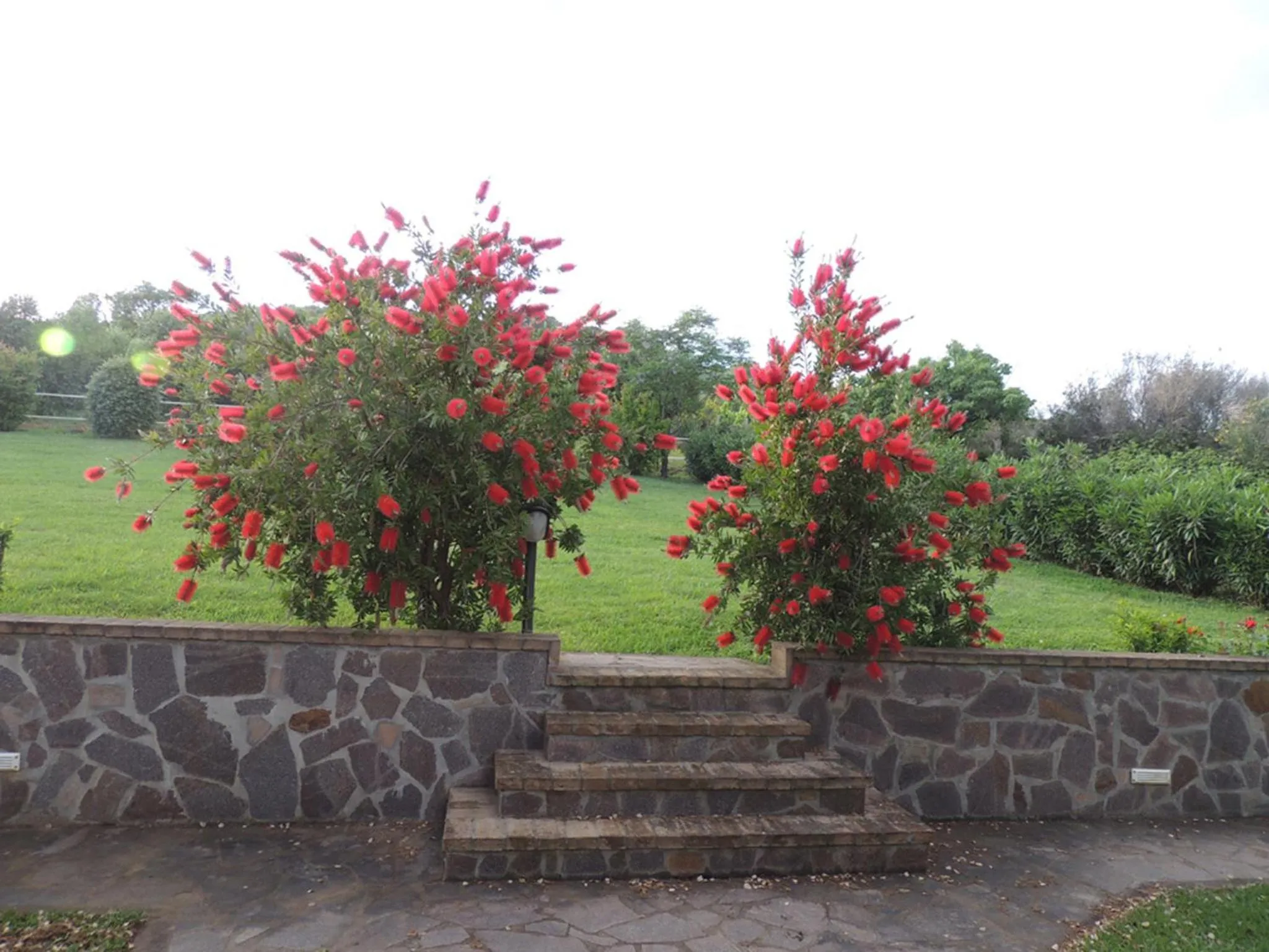 Garden in La Merla