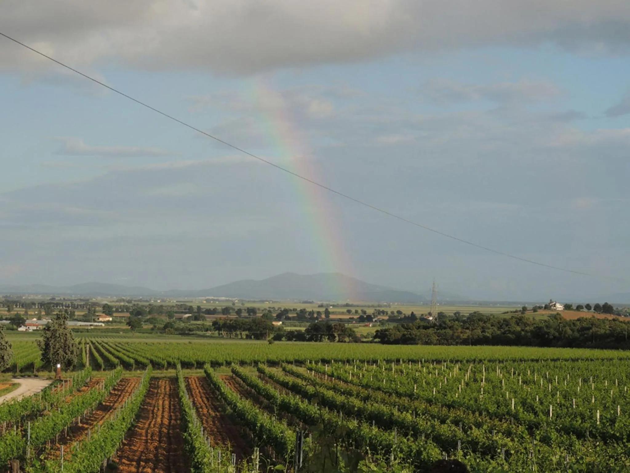 View (from property/room) in La Merla