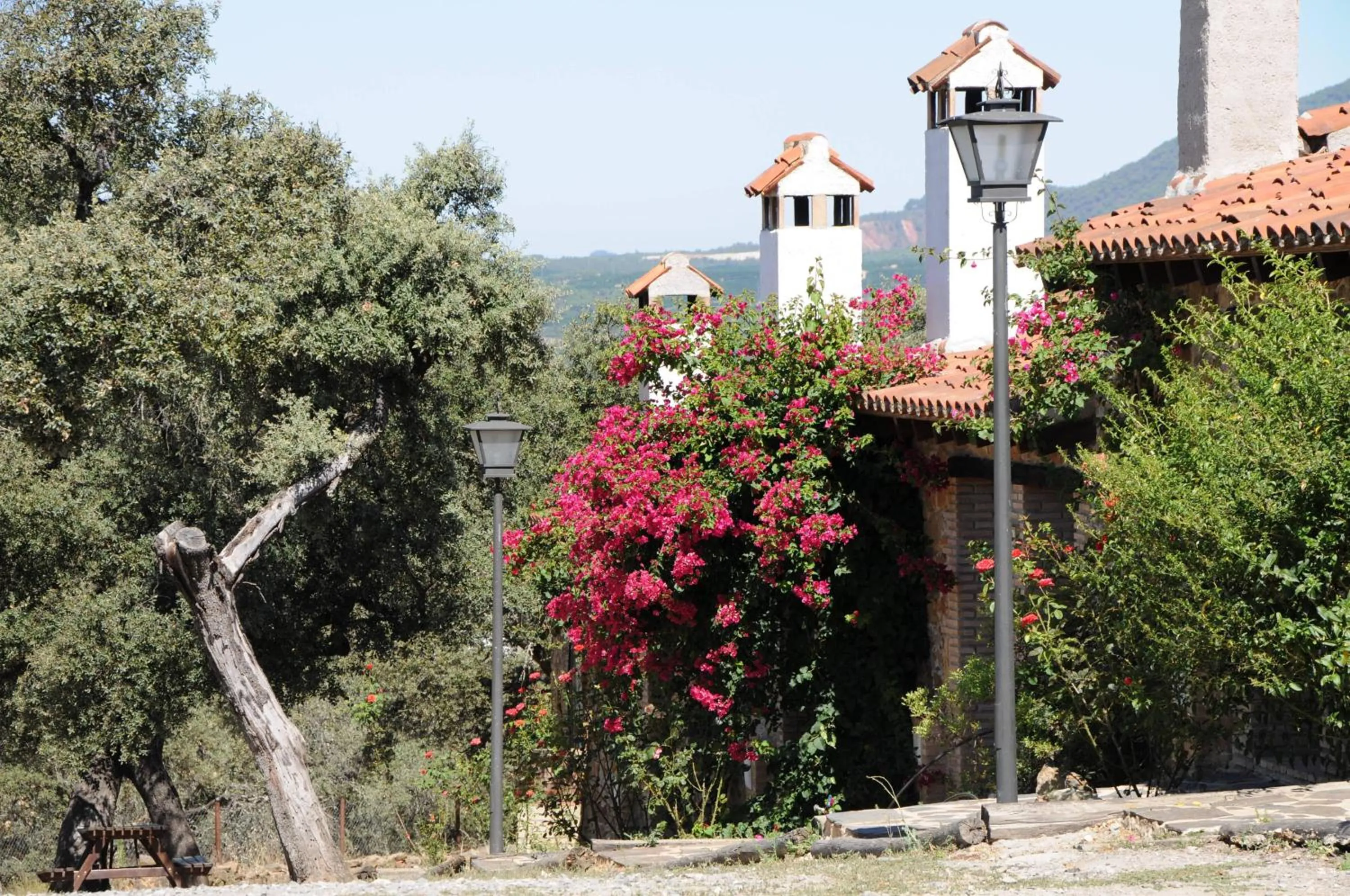 Facade/entrance in Finca Los Caleros